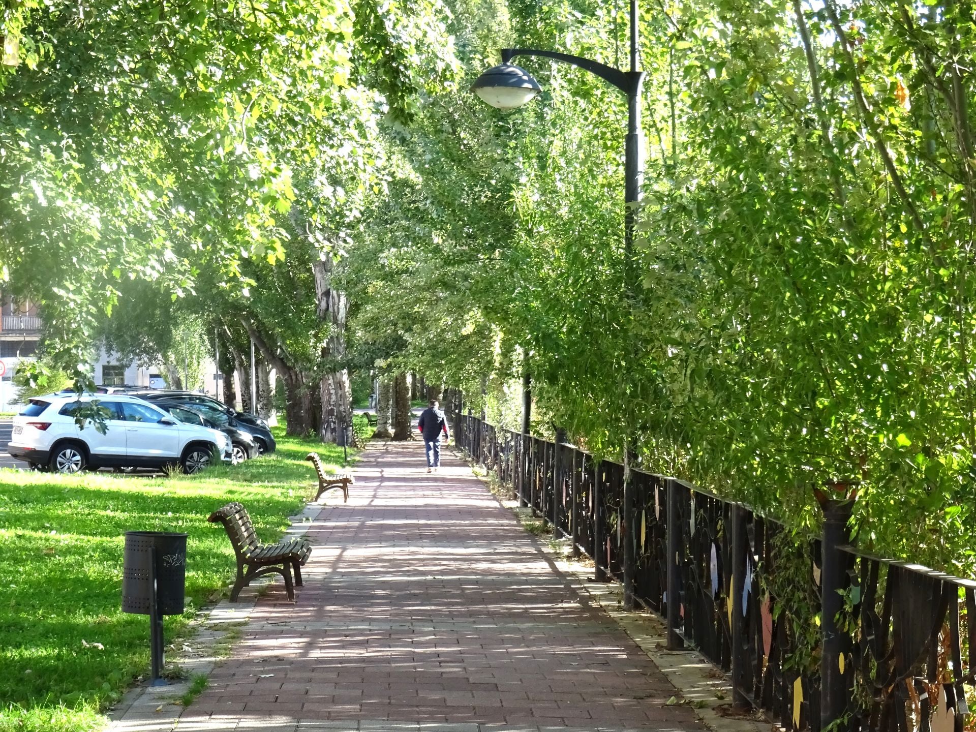 Las imágenes de la basura del Pisuerga