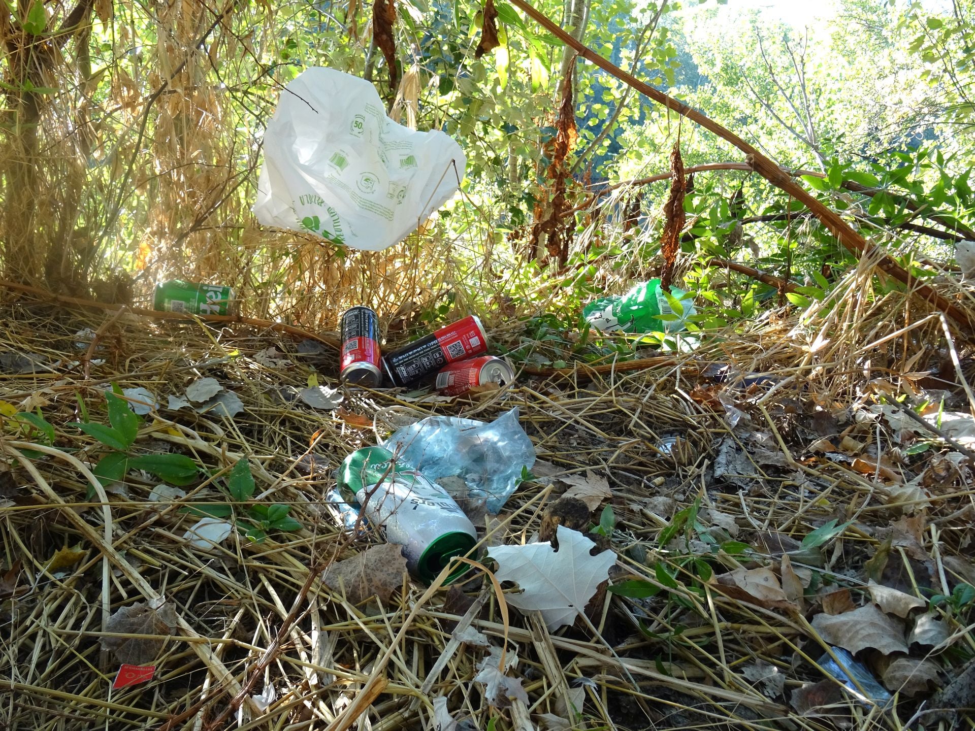 Las imágenes de la basura del Pisuerga