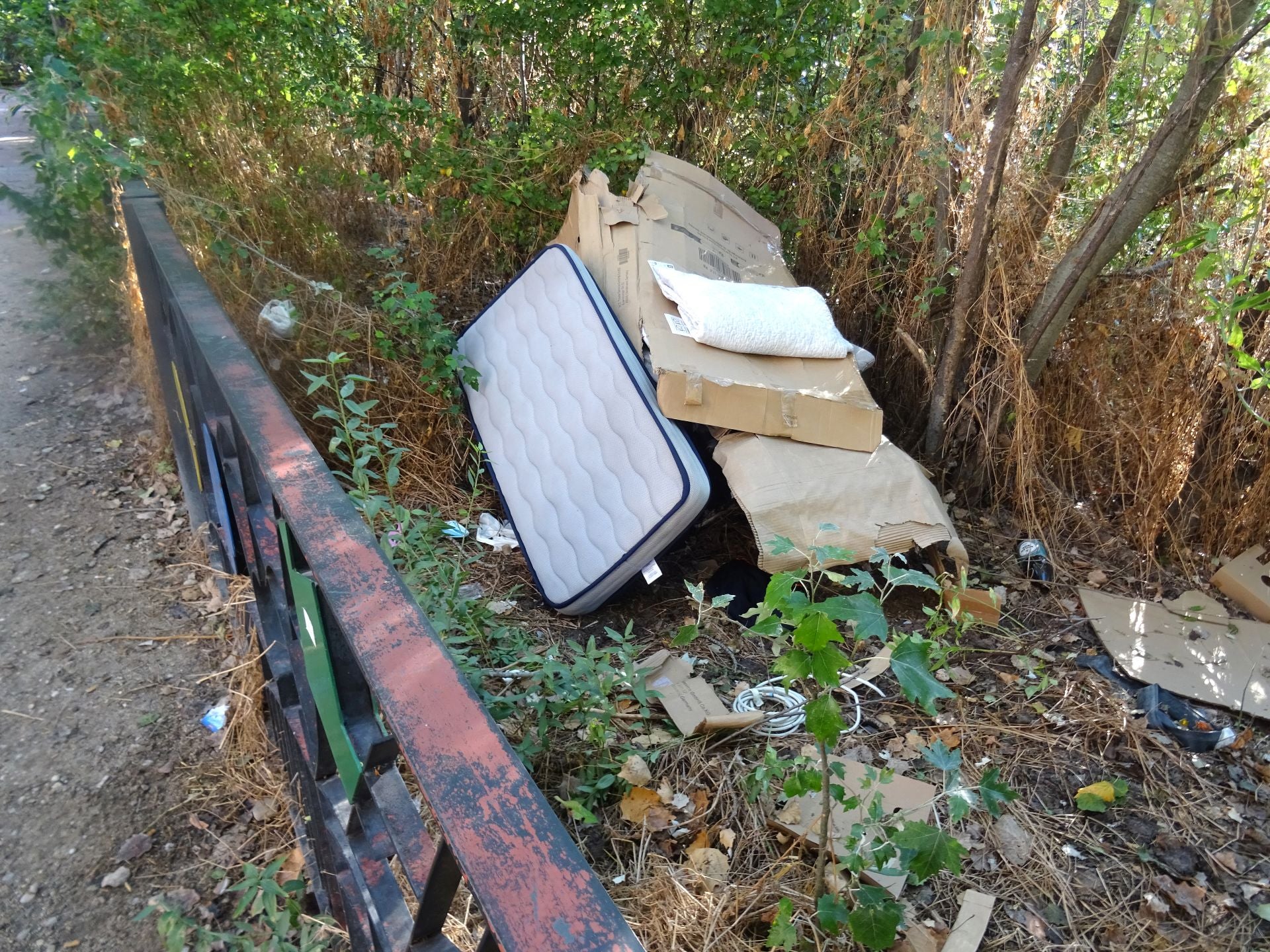 Las imágenes de la basura del Pisuerga