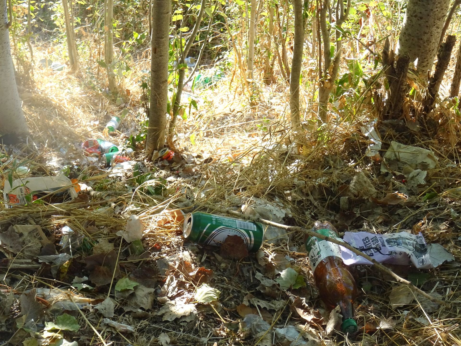 Las imágenes de la basura del Pisuerga