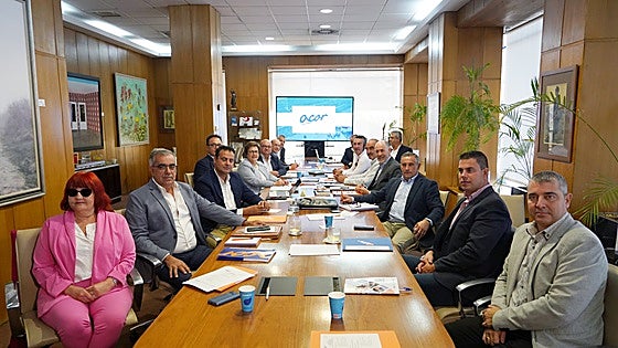 La caída del precio del azúcar provoca 2,5 millones de pérdidas en Acor durante el último ejercicio
