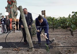 Mañueco planta una viña junto con Carlos Moro.