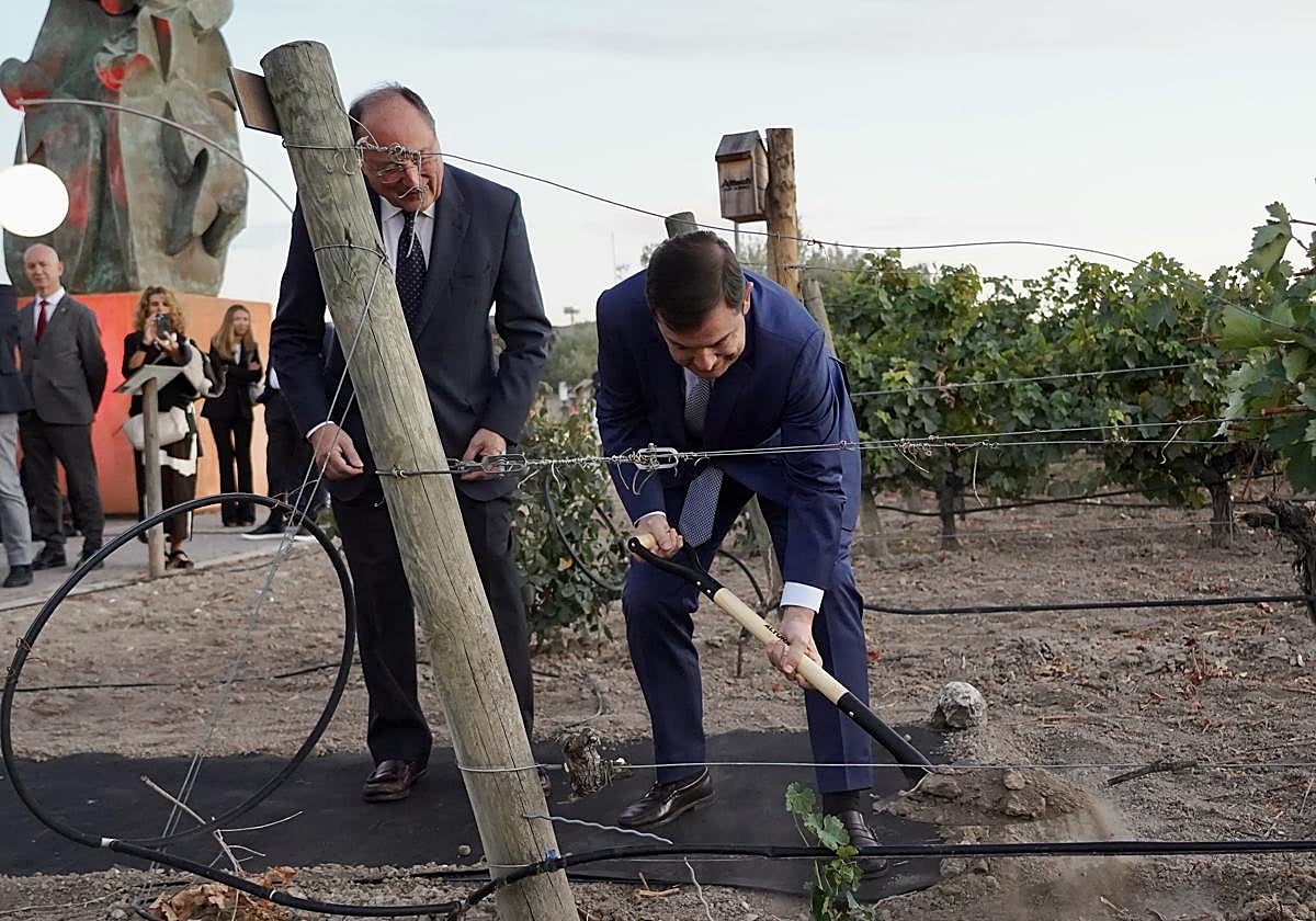 Mañueco planta una viña junto con Carlos Moro.