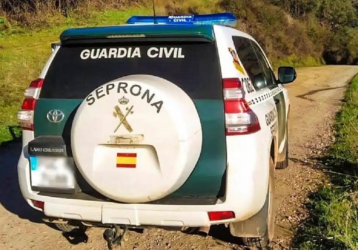 Imagen de archivo de un vehículo del Seprona de la Guardia Civil.