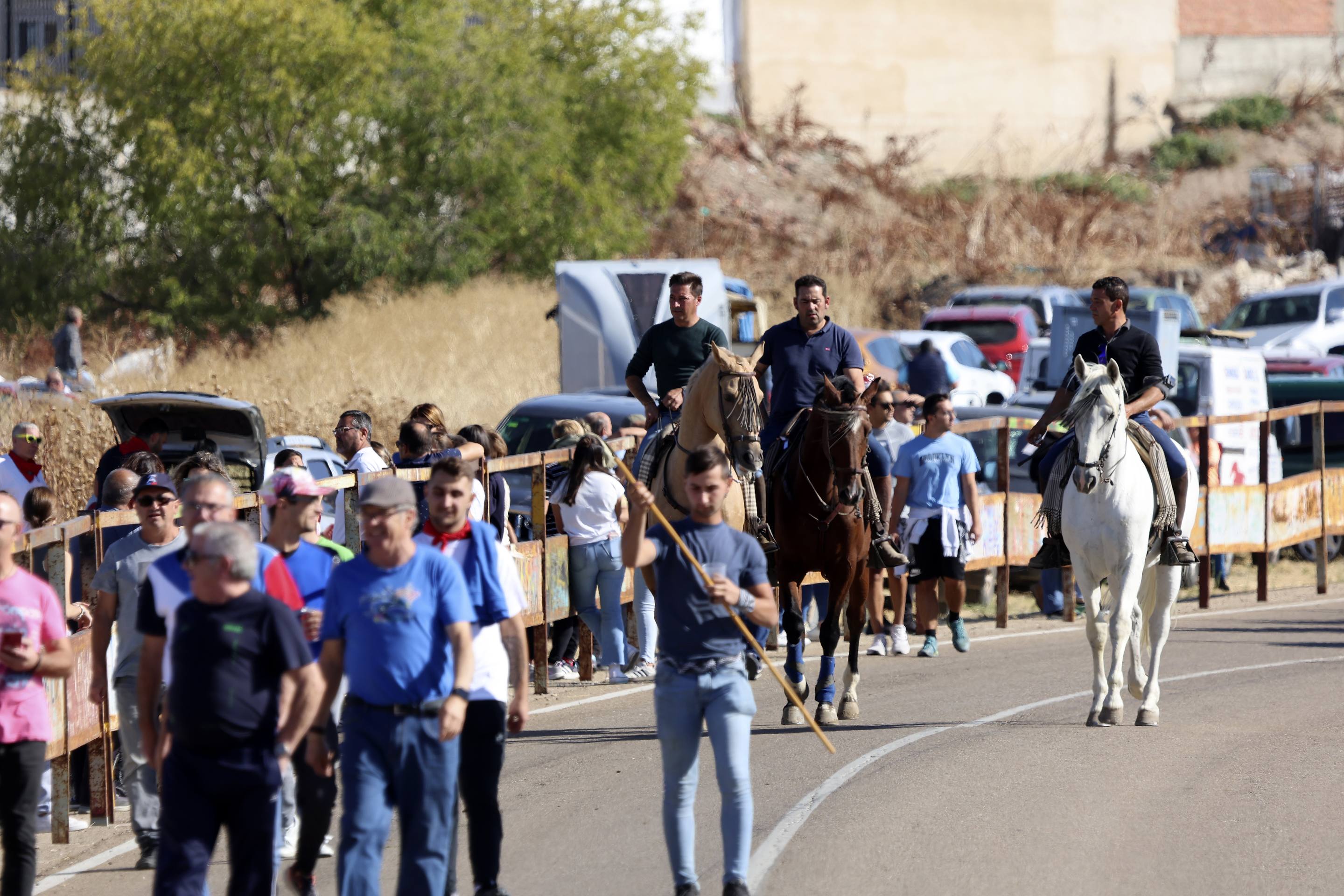 Las imágenes del encierro en Olmedo