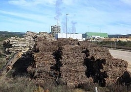 Acopios de madera junto a la planta de Forestalia de Cubillos del Sil, en una imagen de archivo.
