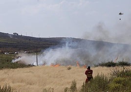 Incendio forestal en Abejera, en Zamora, este verano.