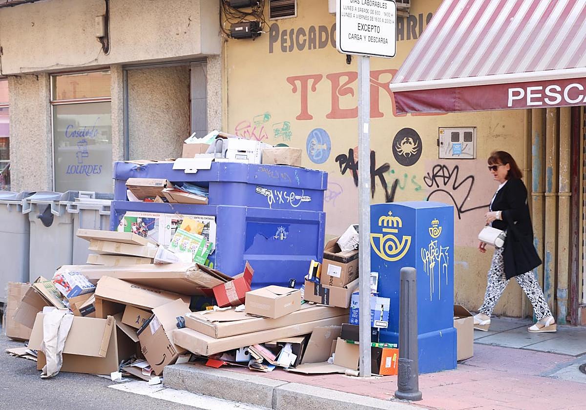 Cajas de cartón se acumulan en un contenedor en Valladolid, este viernes.