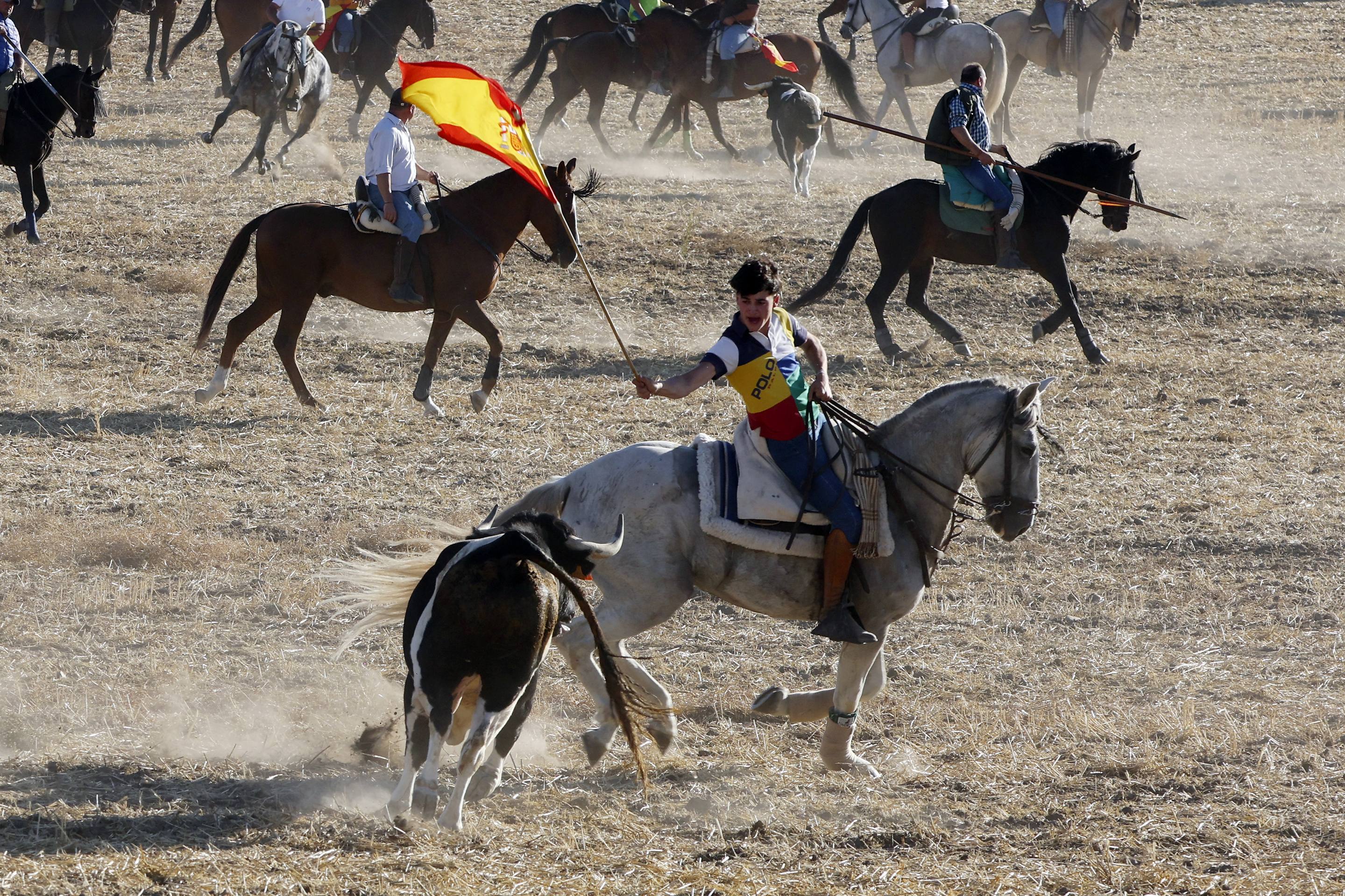El encierro en Olmedo, en imágenes