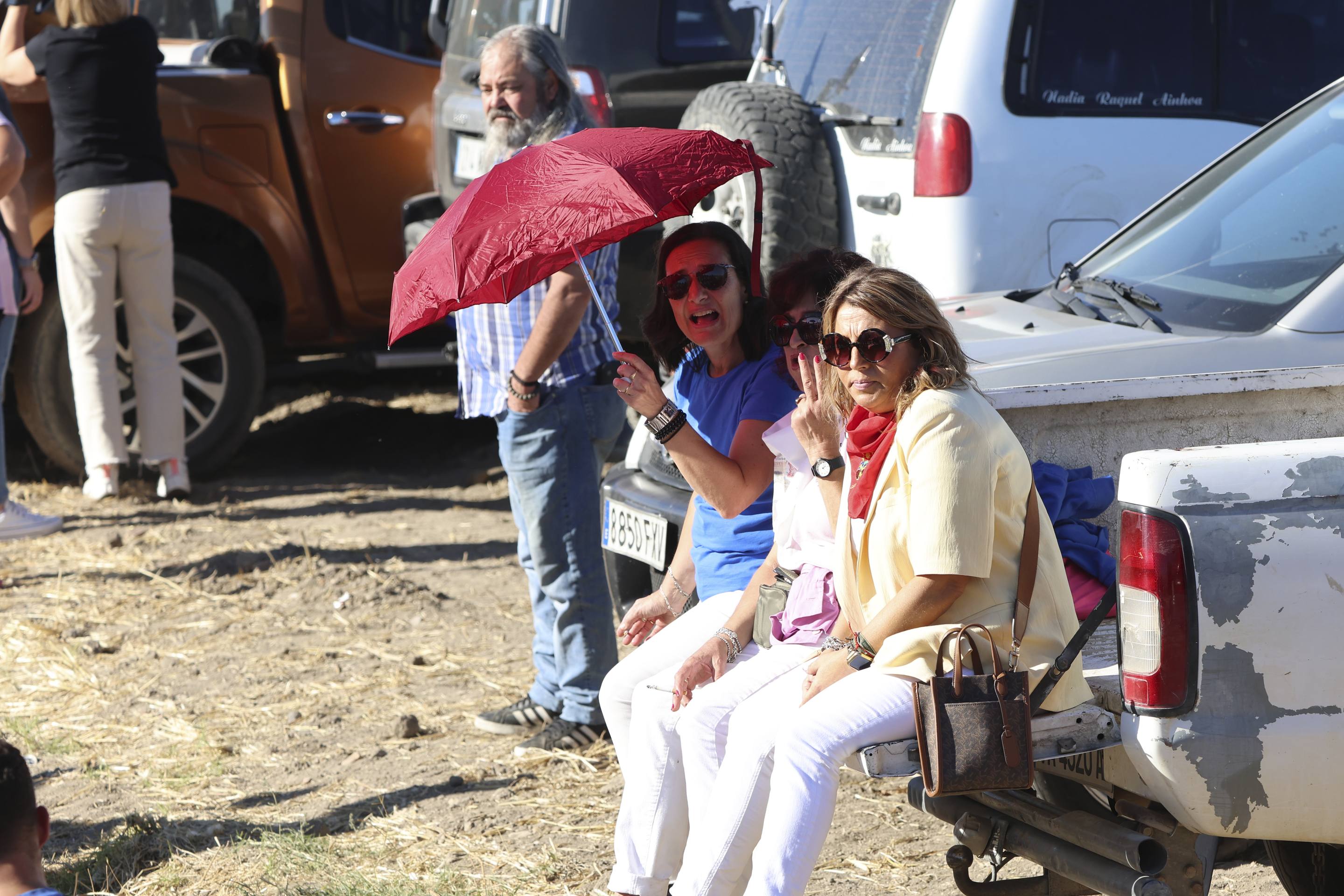 El encierro en Olmedo, en imágenes