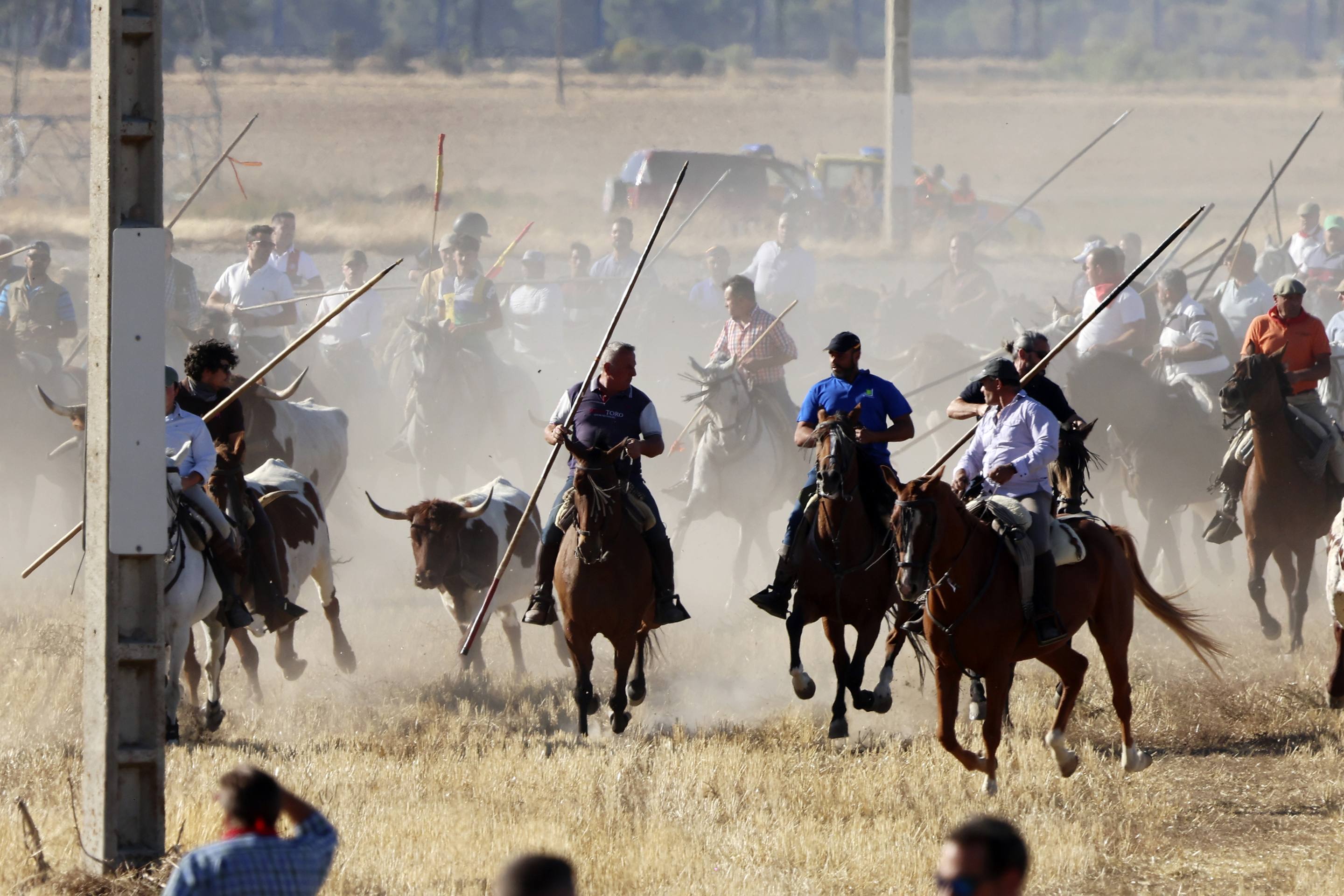 El encierro en Olmedo, en imágenes