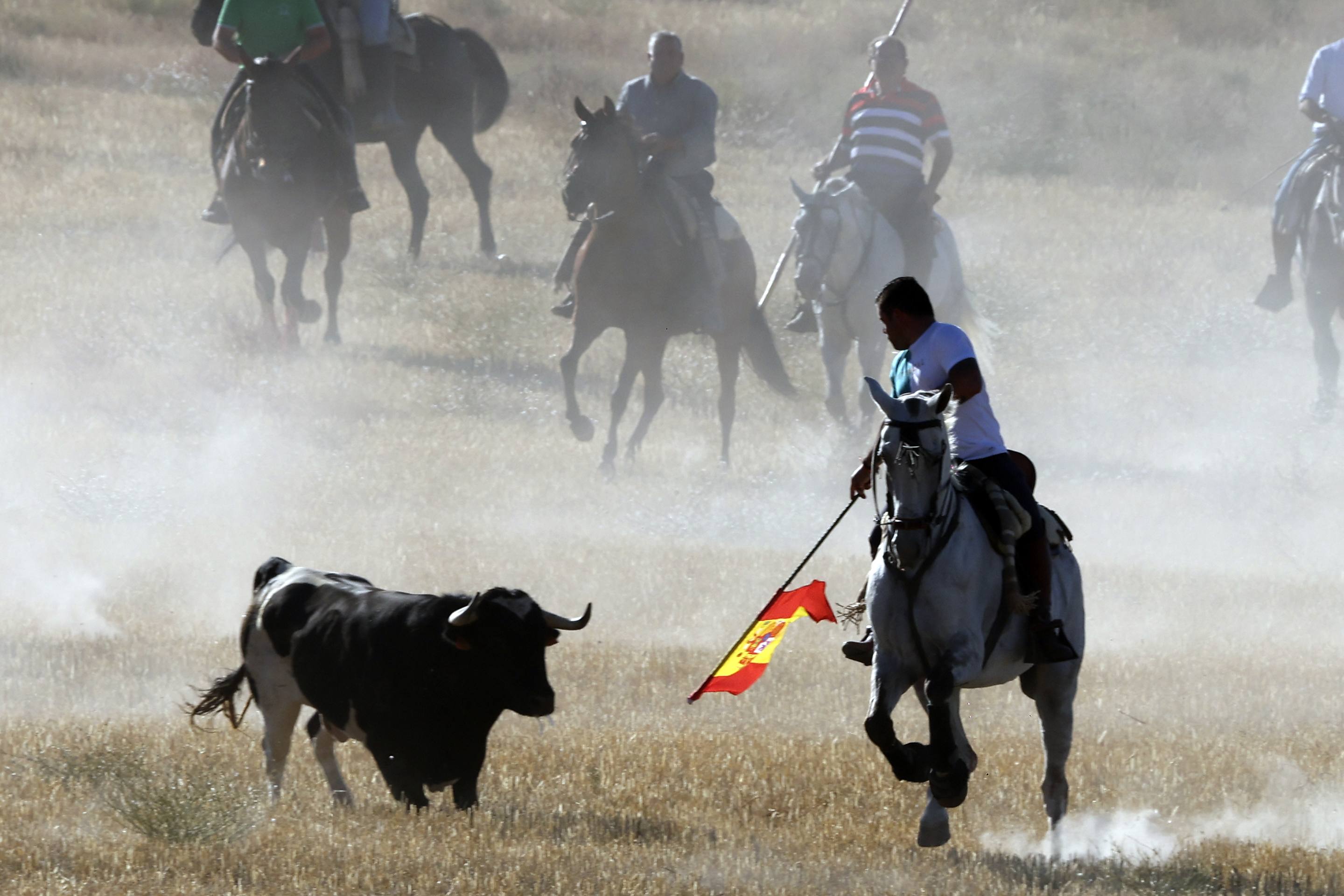 El encierro en Olmedo, en imágenes