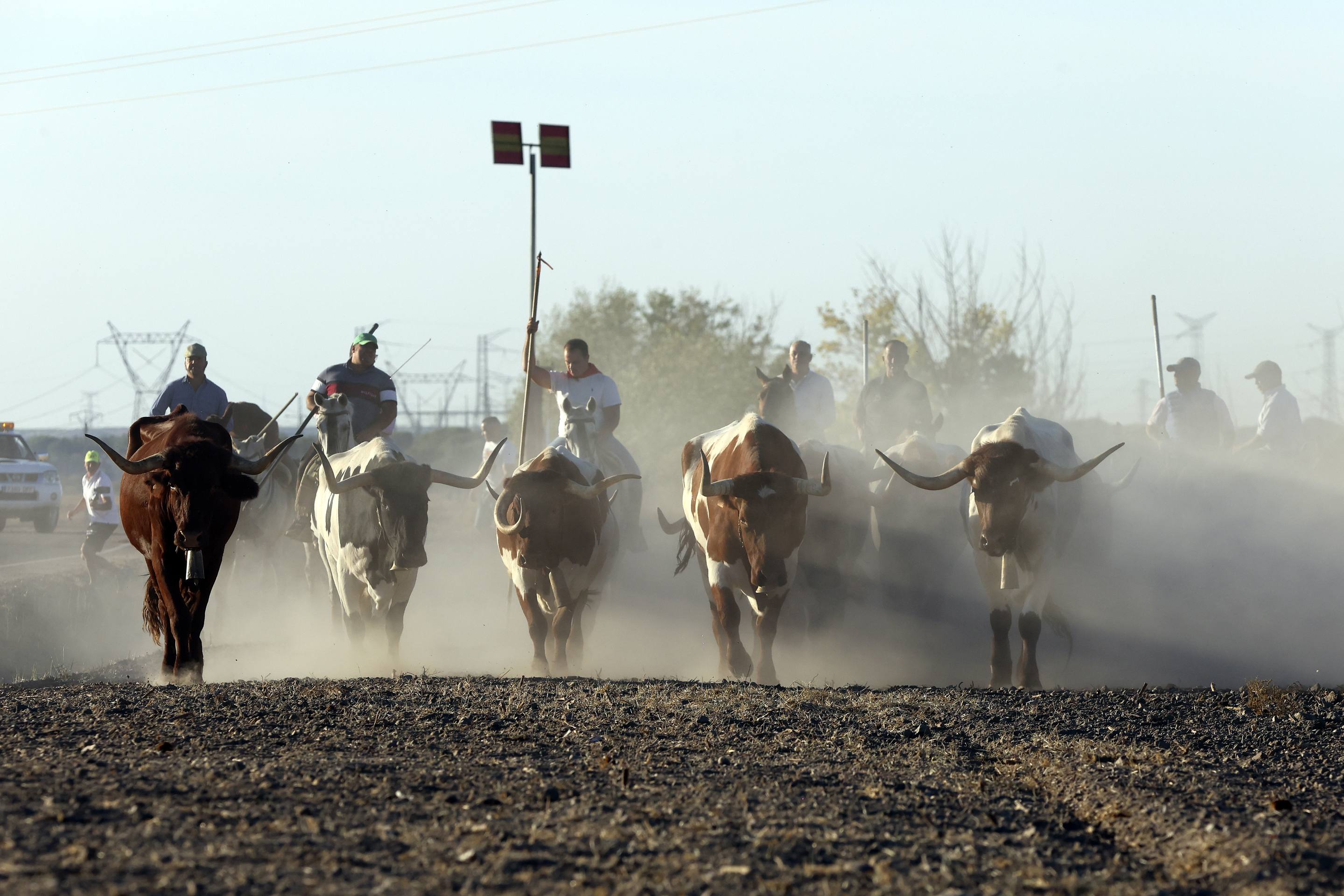El encierro en Olmedo, en imágenes