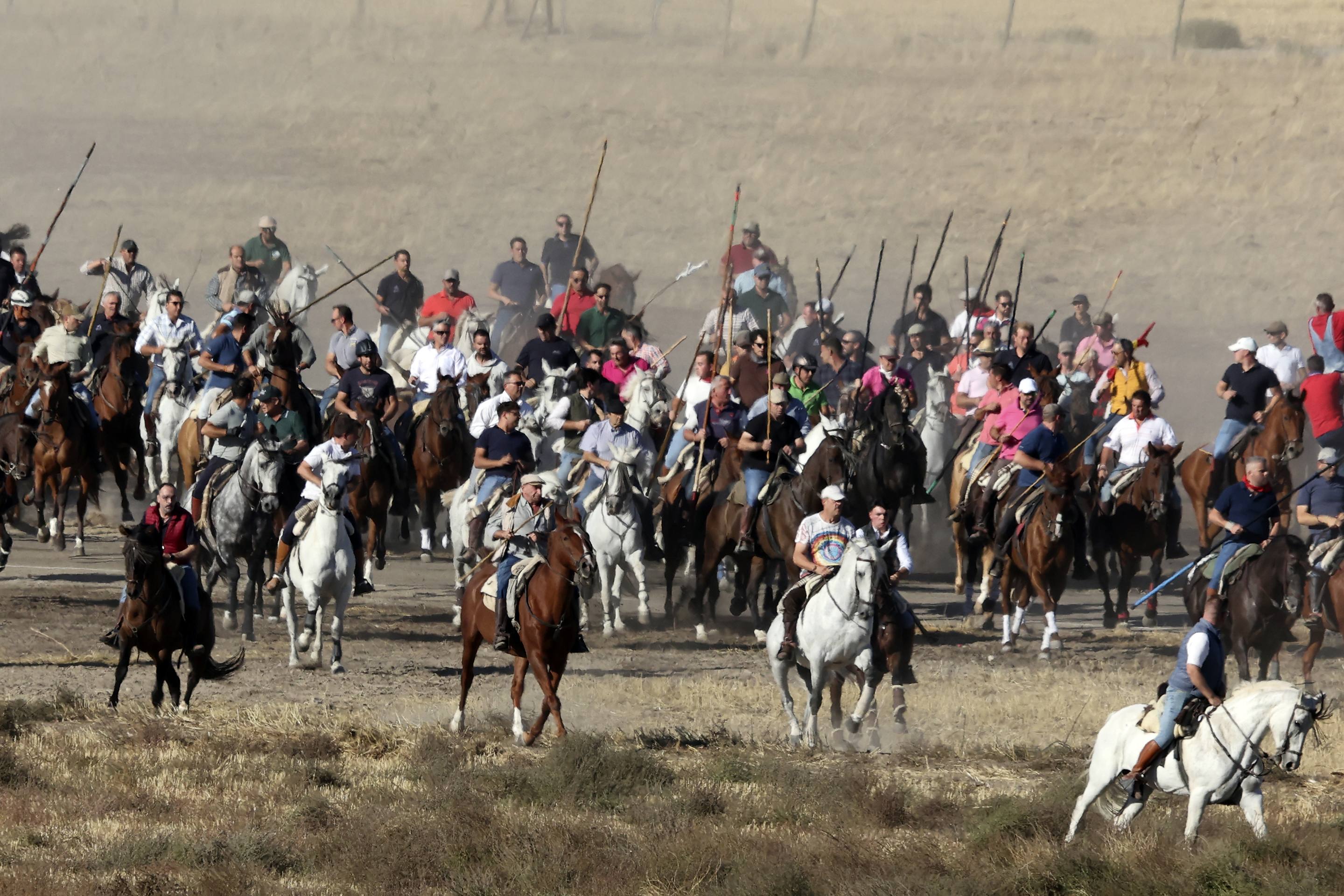El encierro en Olmedo, en imágenes
