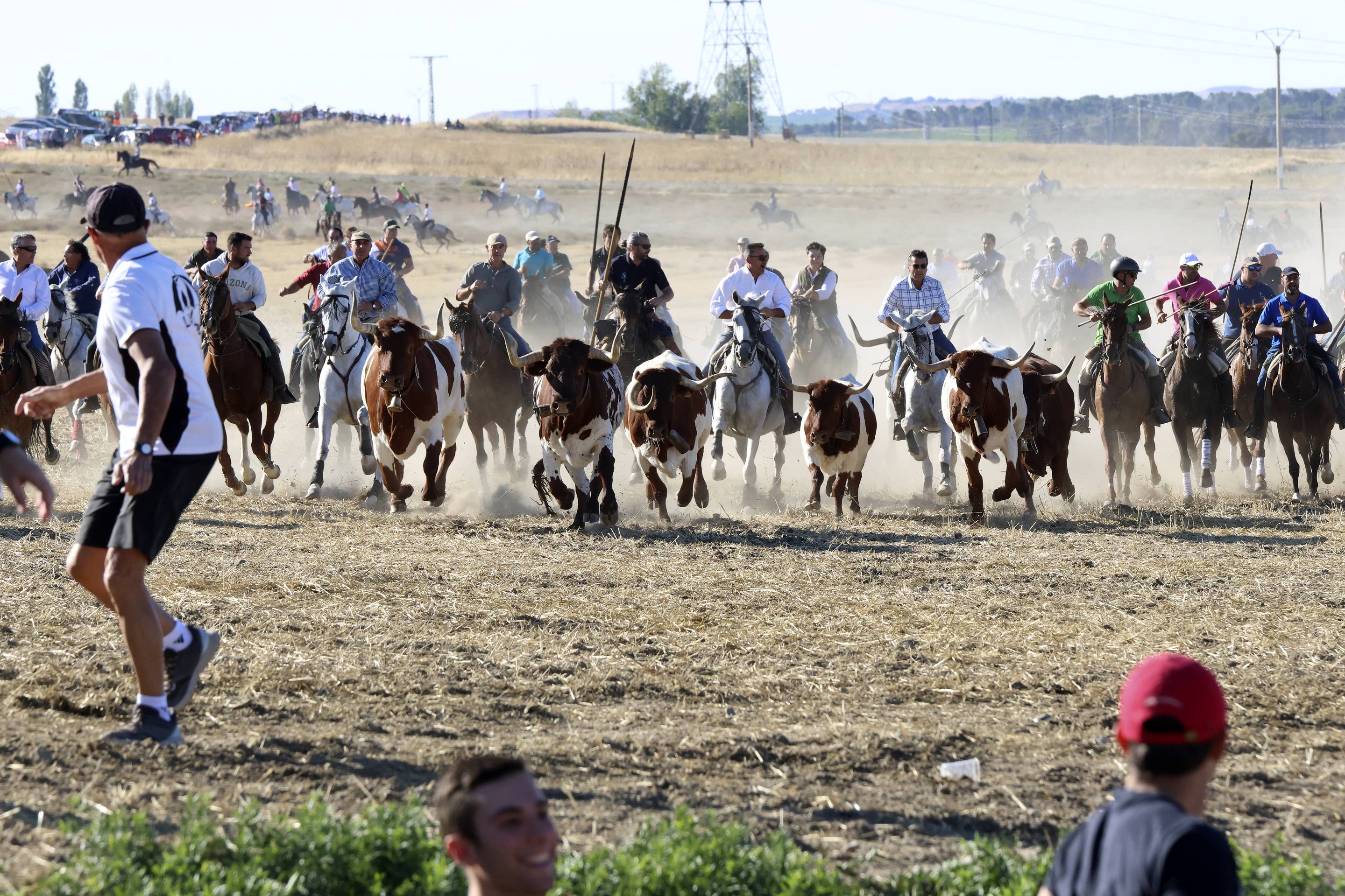 El encierro en Olmedo, en imágenes