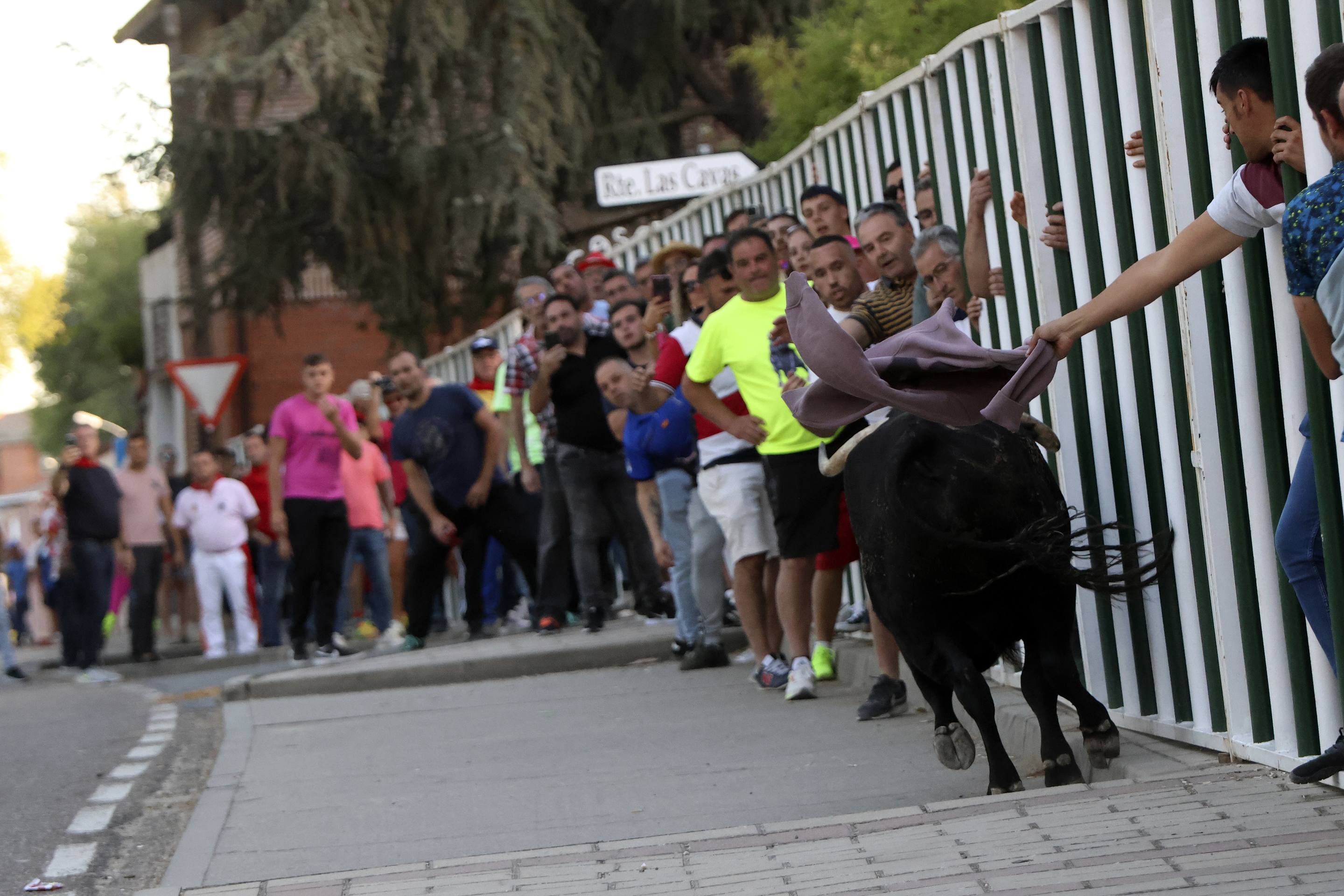 El encierro en Olmedo, en imágenes