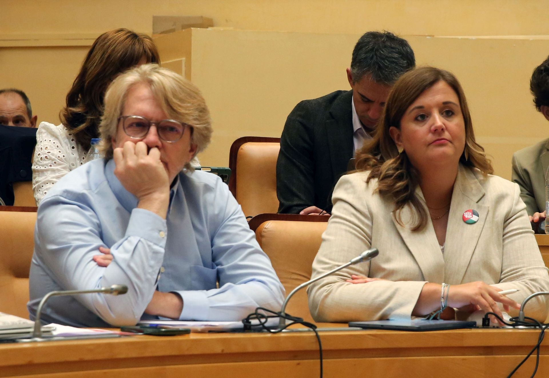 El pleno del Ayuntamiento de Segovia, en imágenes