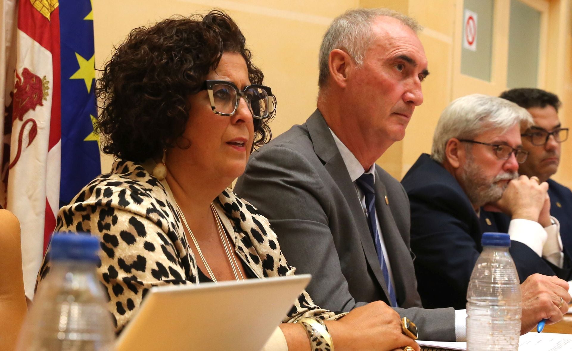 El pleno del Ayuntamiento de Segovia, en imágenes