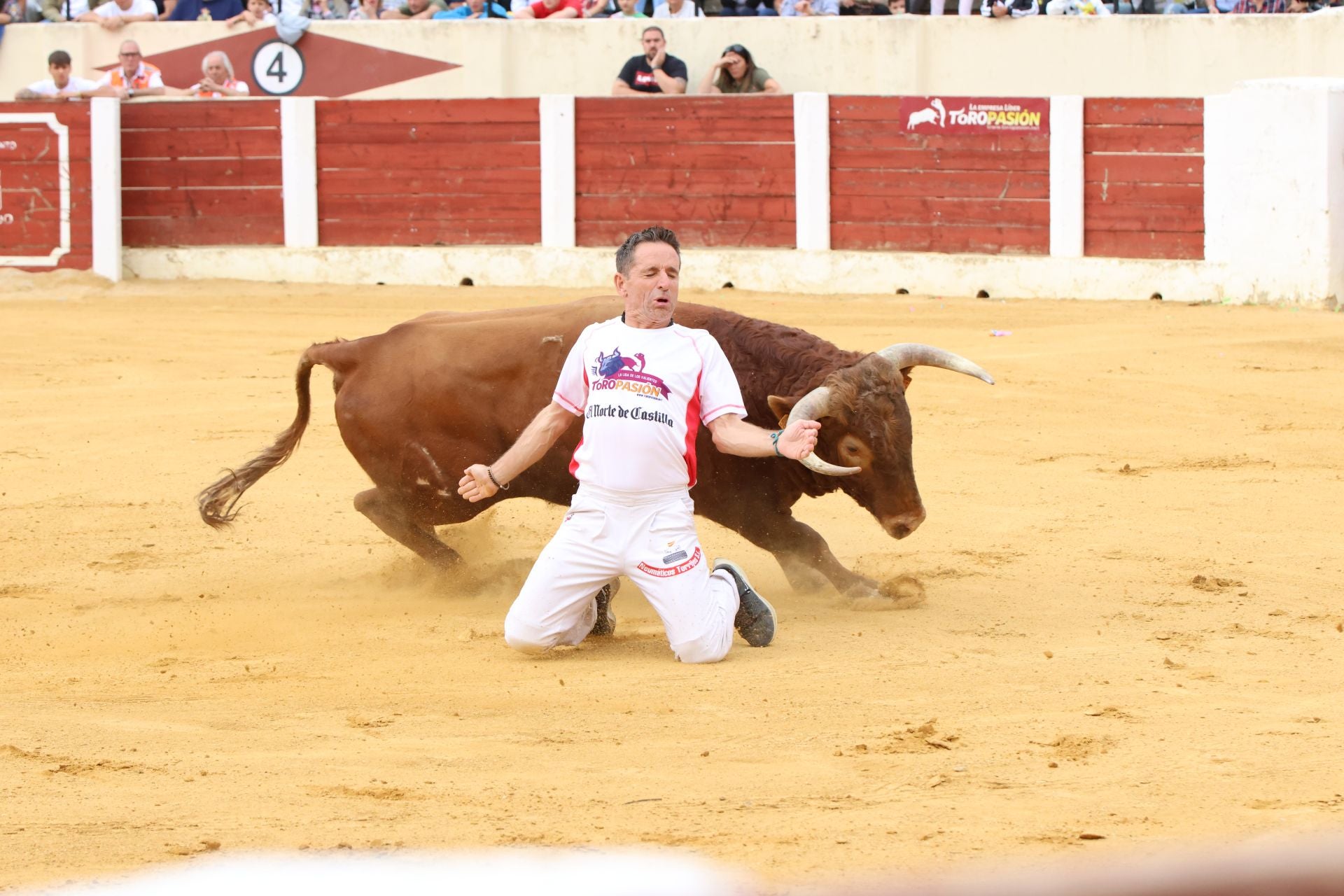 Fotografías del concurso de cortes celebrado en Olmedo