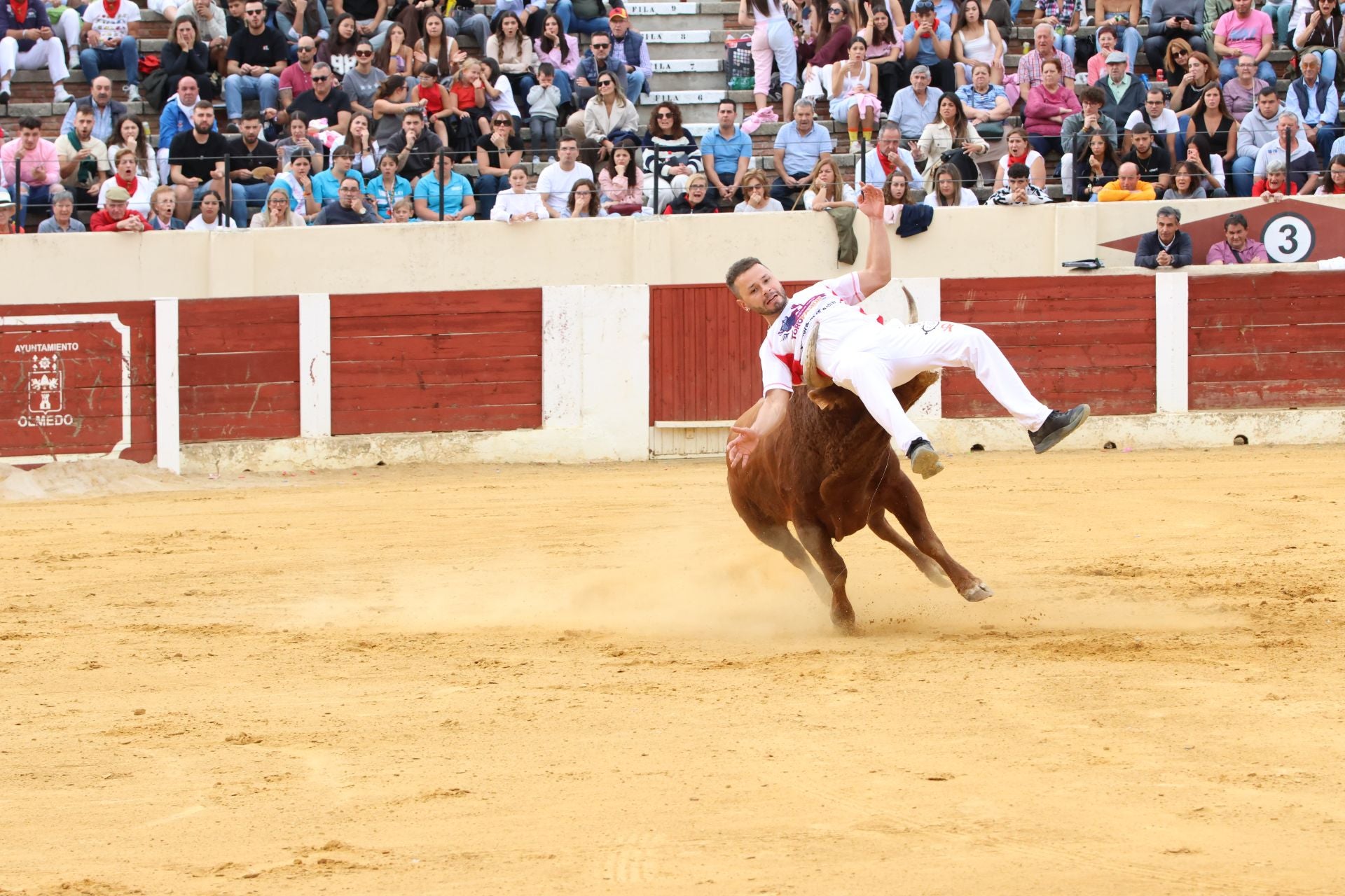 Fotografías del concurso de cortes celebrado en Olmedo