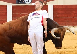 Fotografías del concurso de cortes celebrado en Olmedo