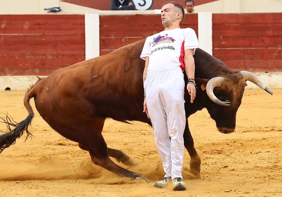 Fotografías del concurso de cortes celebrado en Olmedo