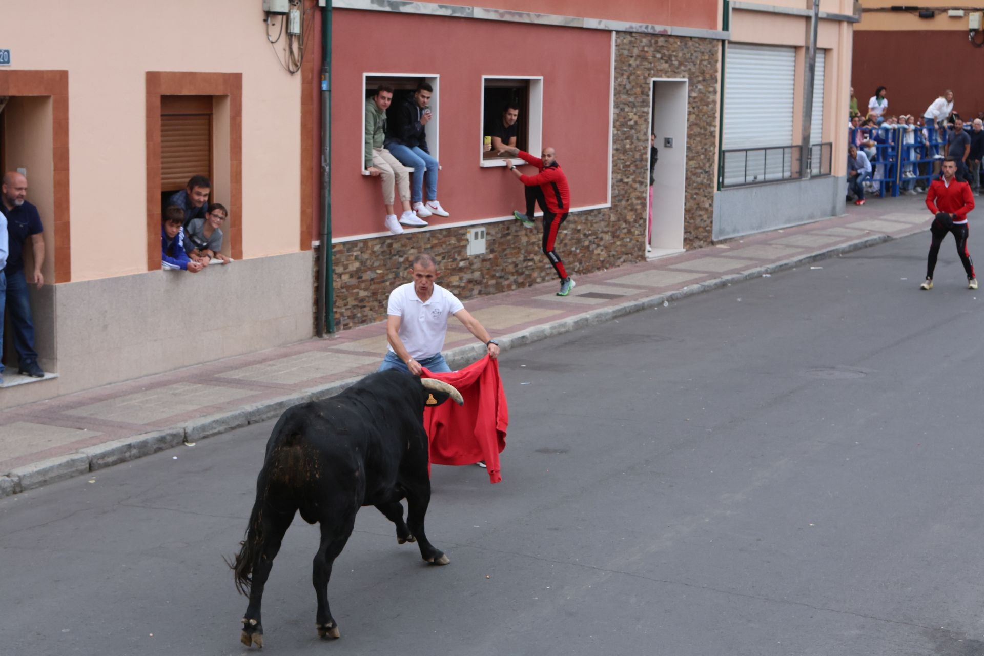 Las imágenes del encierro urbano celebrado en Íscar