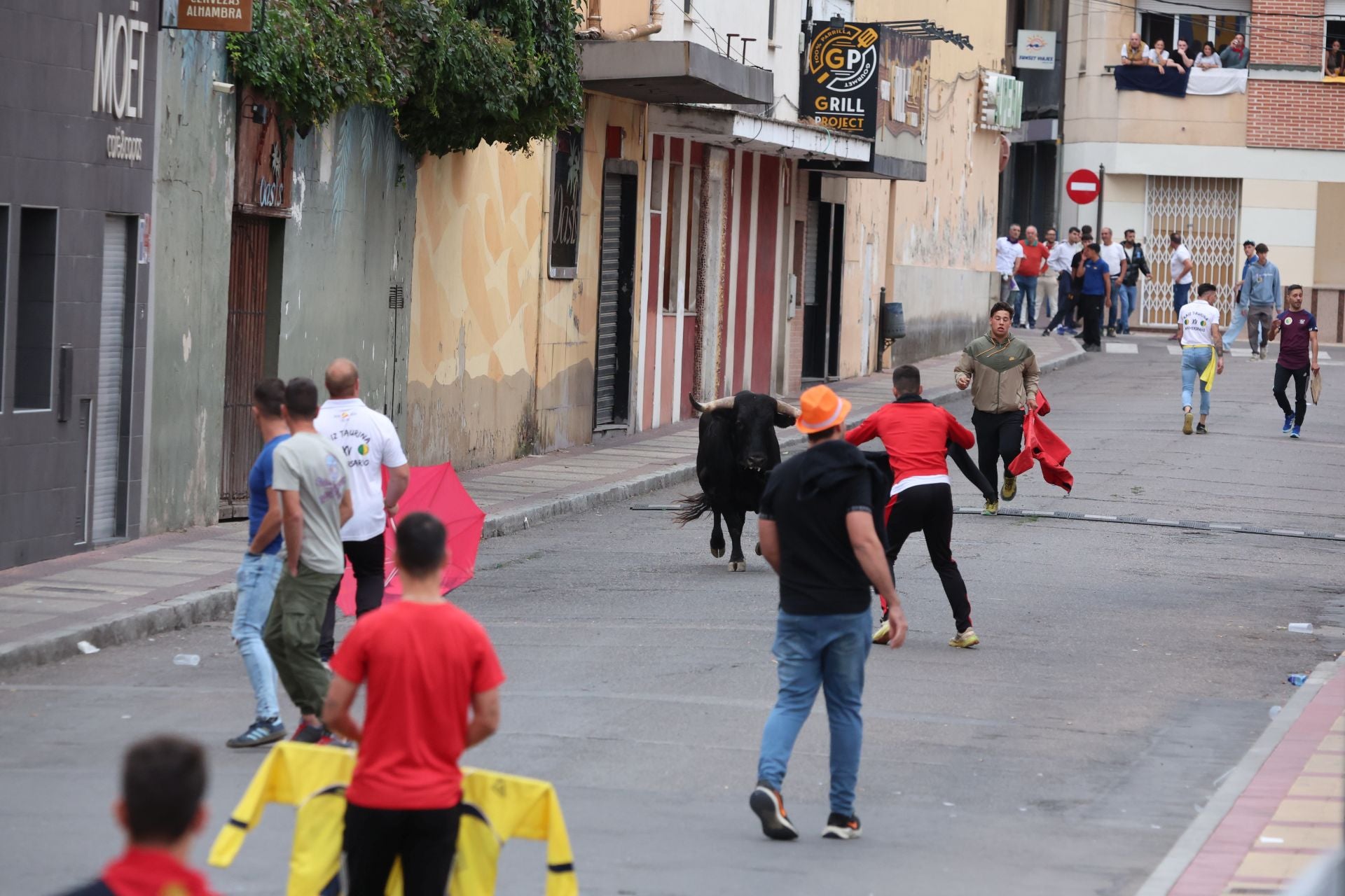 Las imágenes del encierro urbano celebrado en Íscar