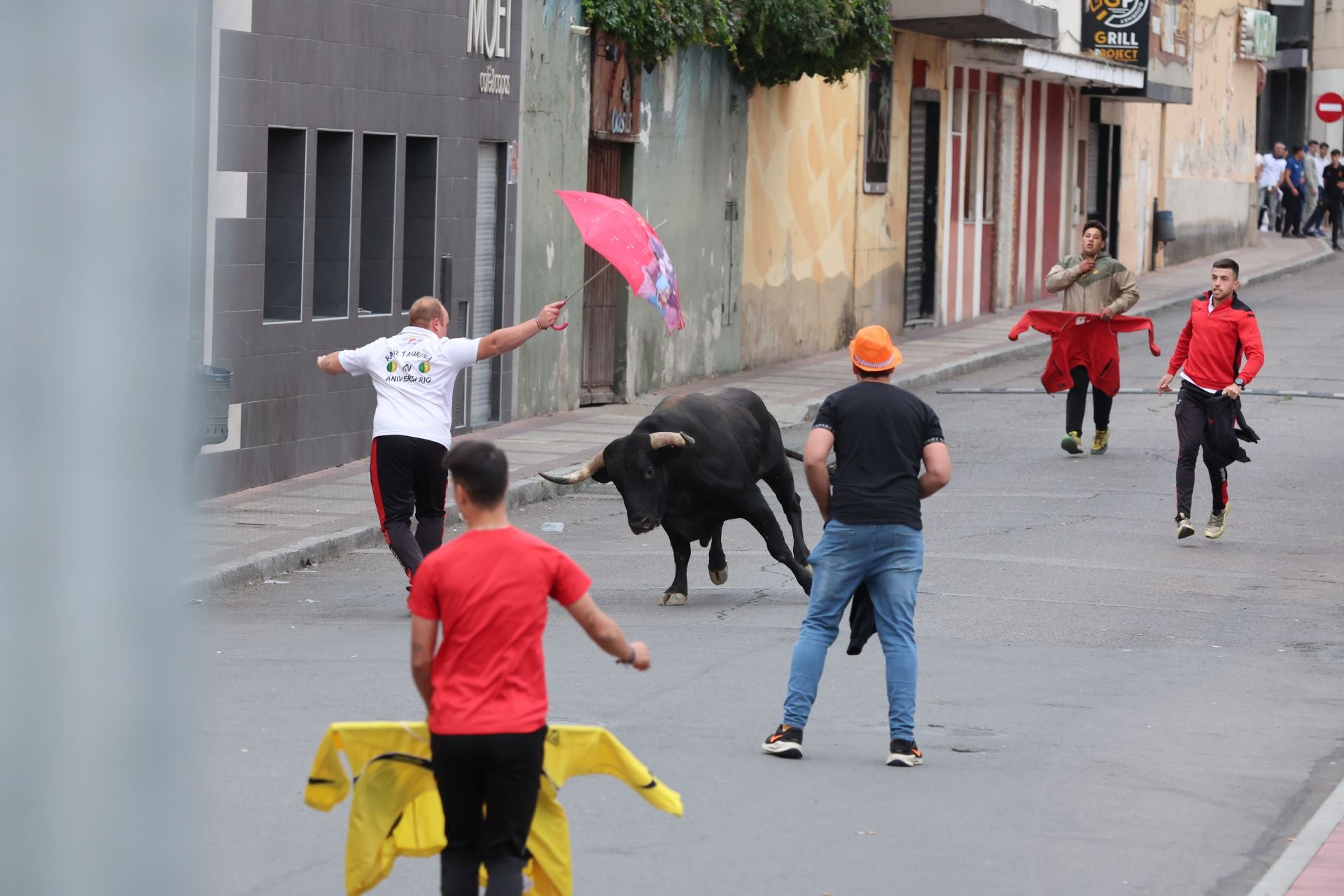 Las imágenes del encierro urbano celebrado en Íscar
