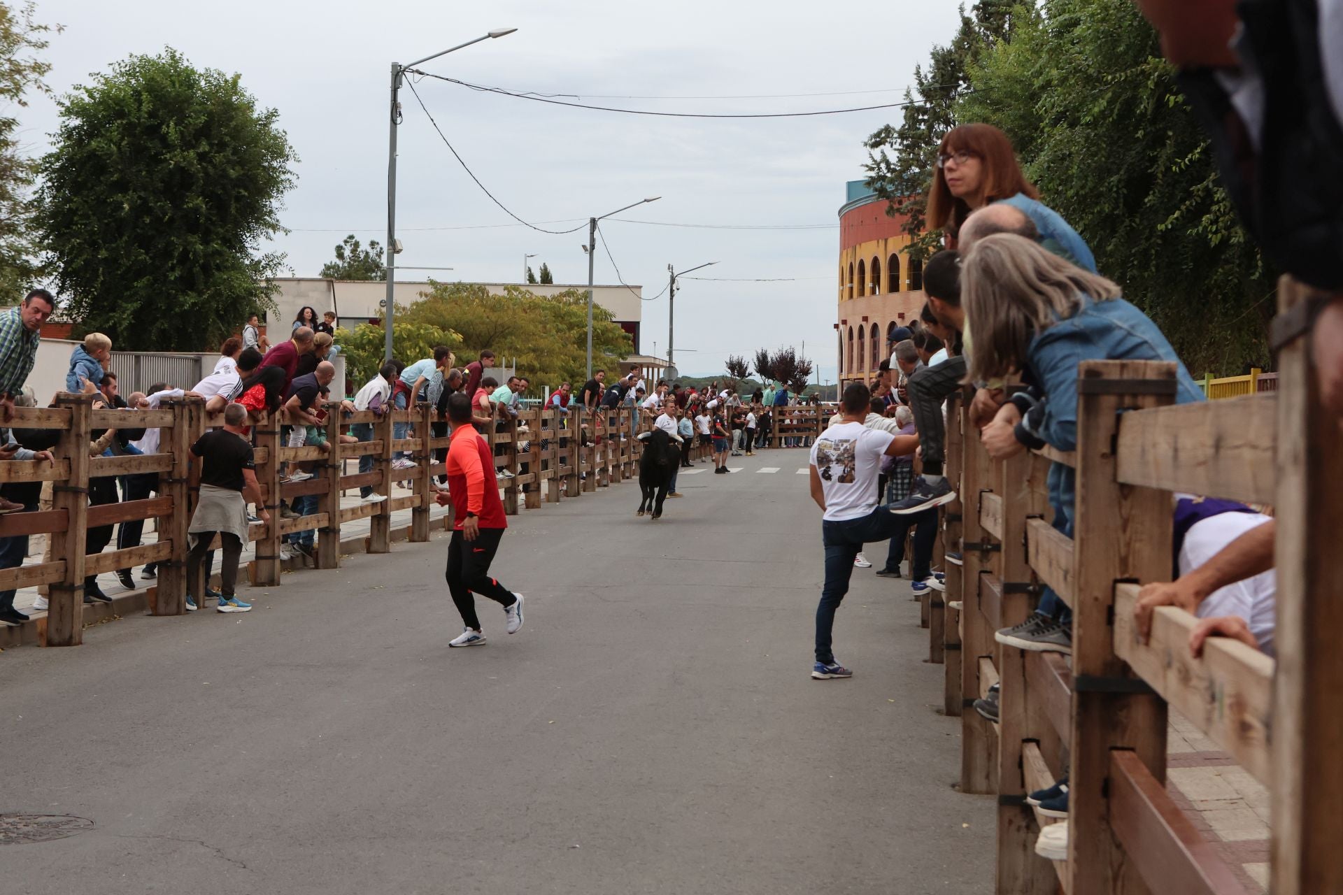 Las imágenes del encierro urbano celebrado en Íscar