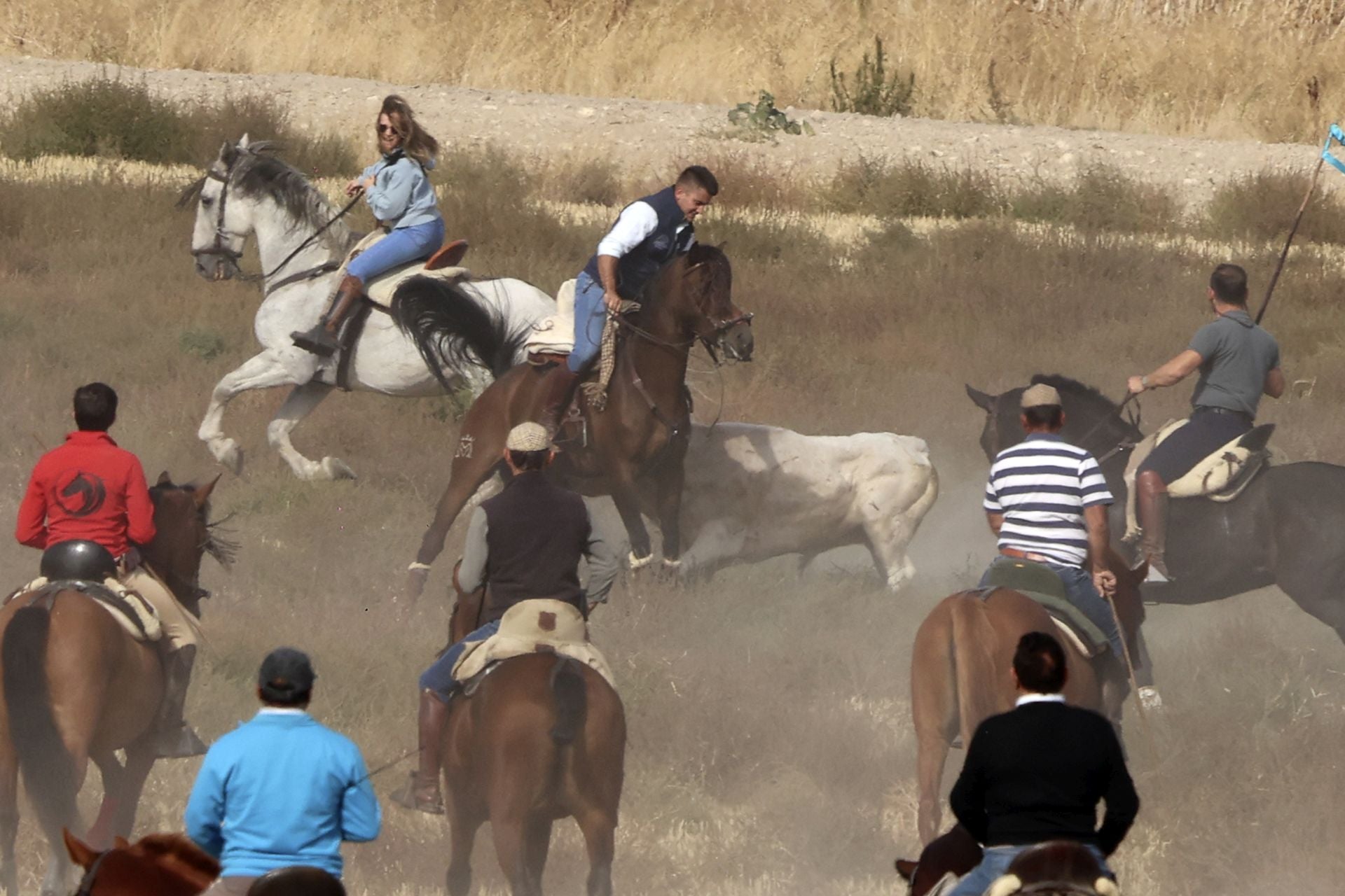 Encierro en Olmedo el sábado por la mañana