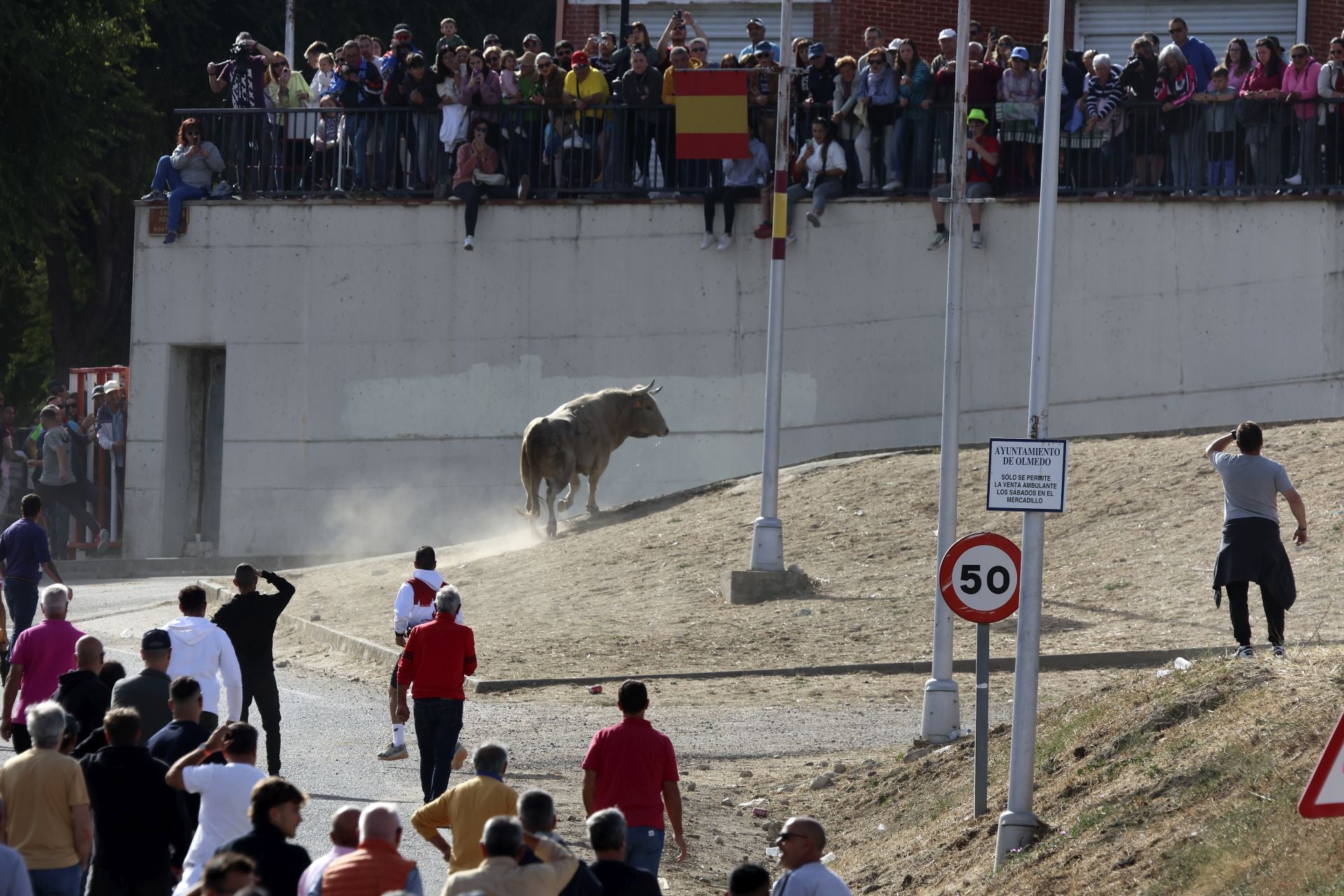Encierro en Olmedo el sábado por la mañana