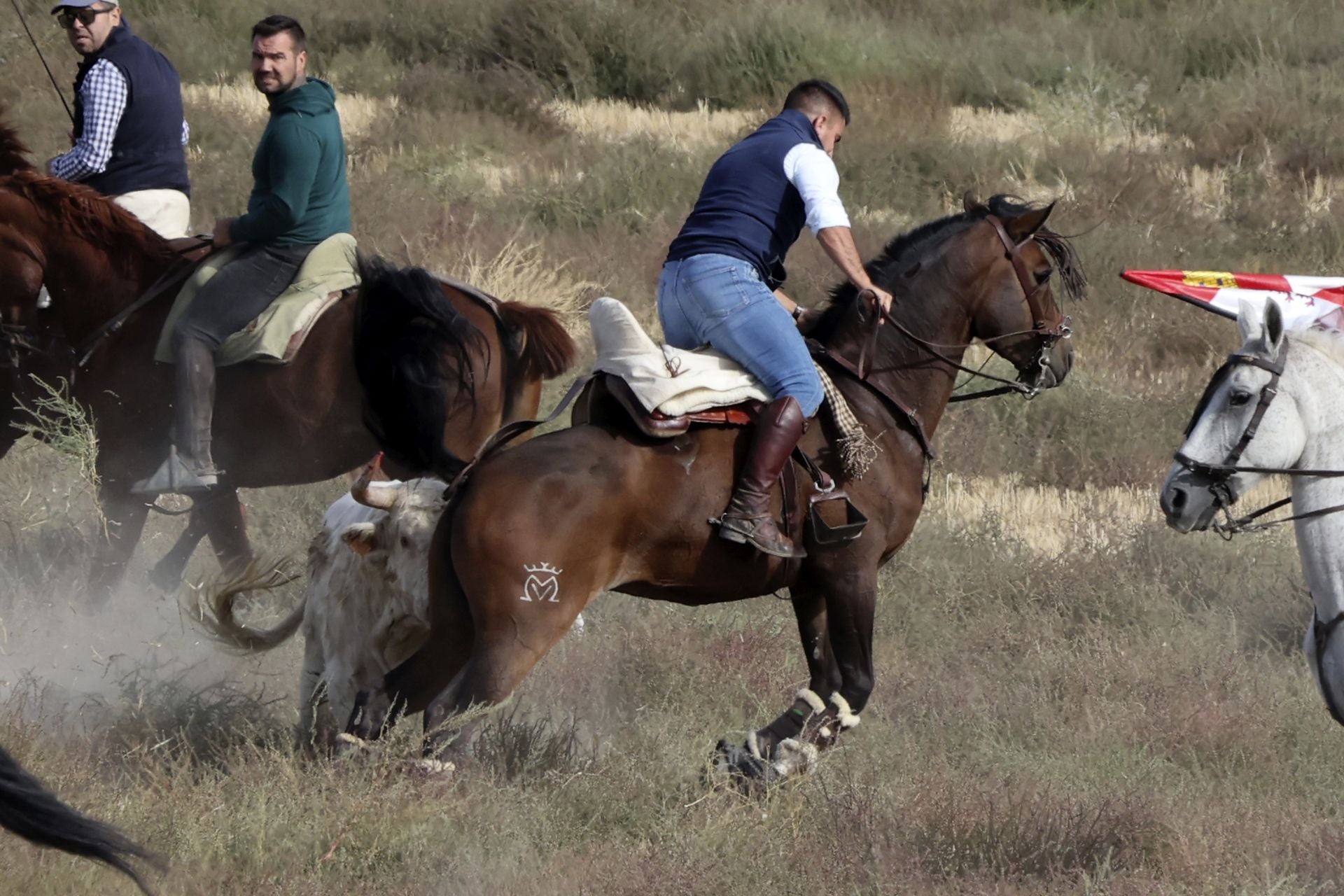 Encierro en Olmedo el sábado por la mañana