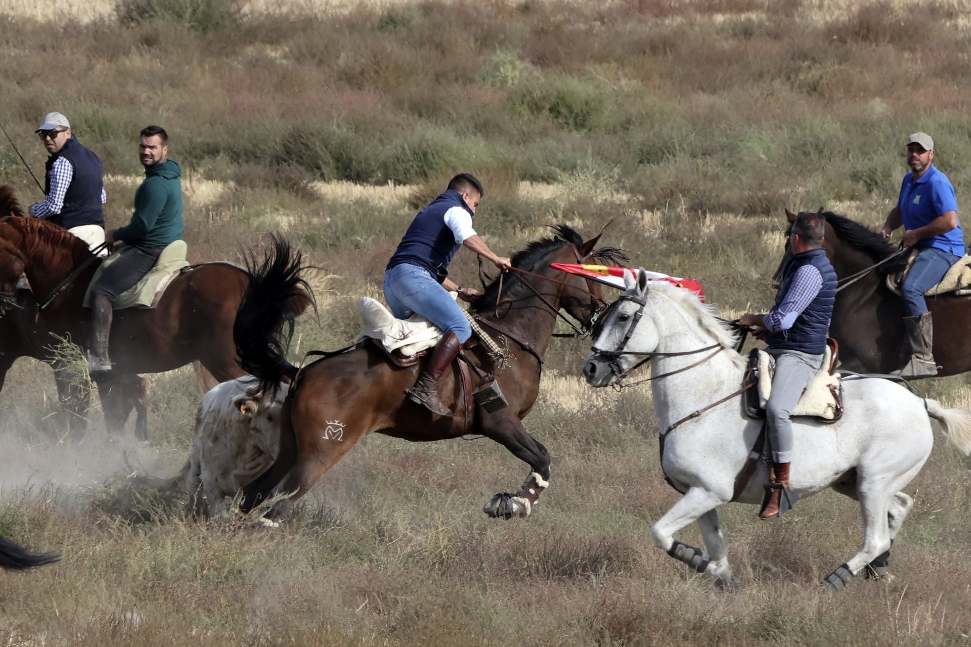 Encierro en Olmedo el sábado por la mañana