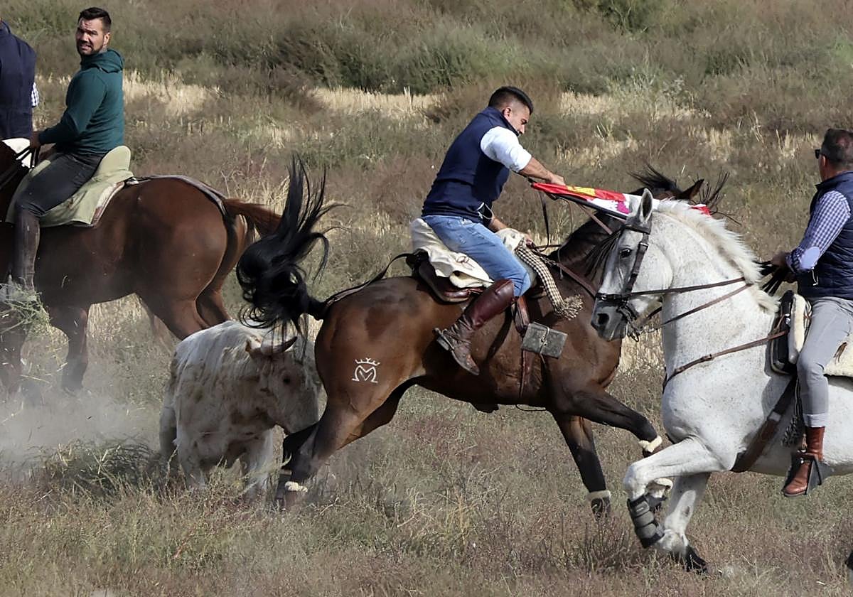 Encierro en Olmedo el sábado por la mañana