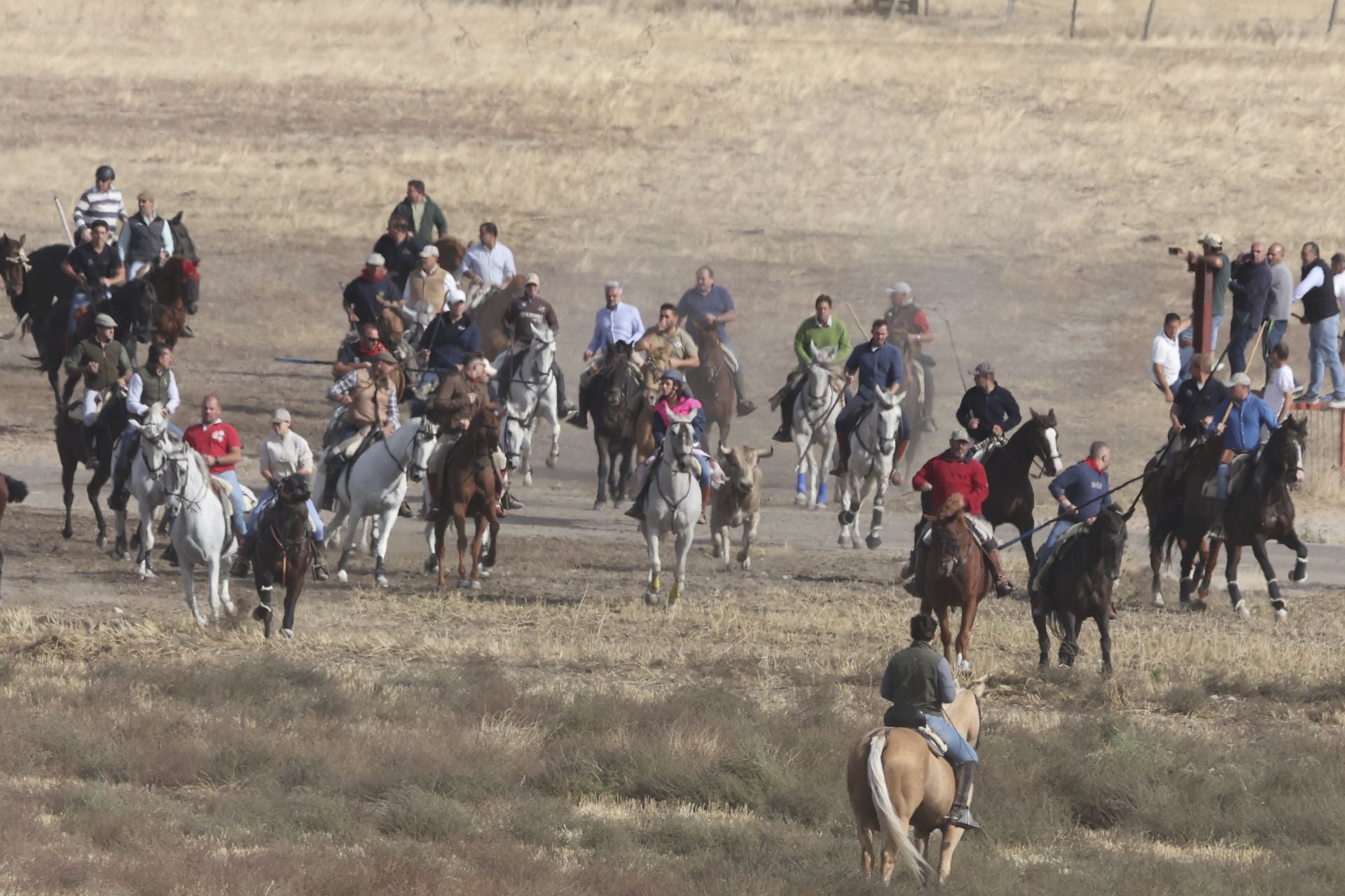 Encierro en Olmedo el sábado por la mañana