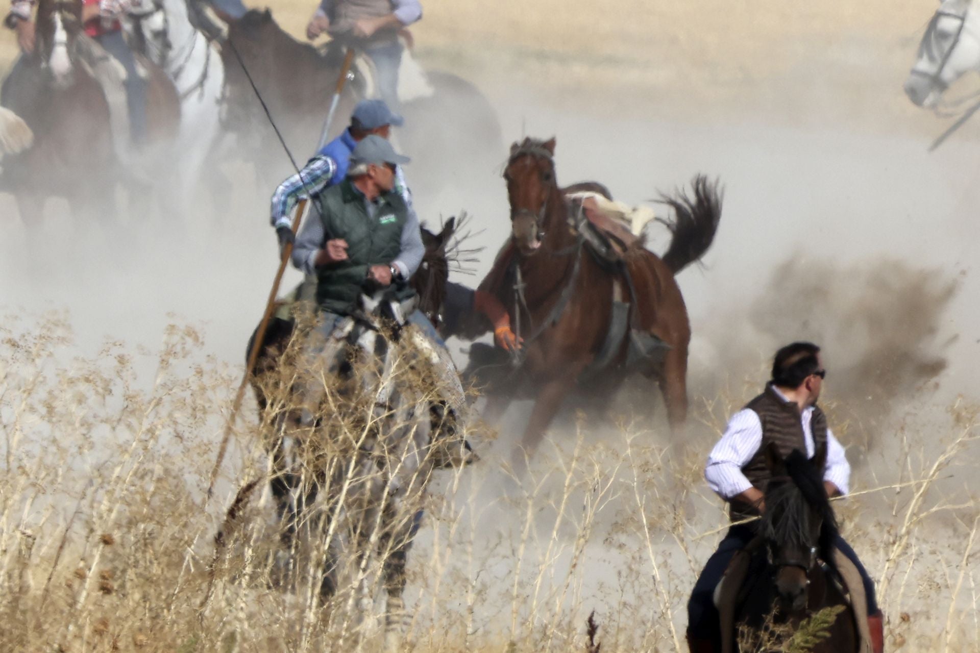 Encierro en Olmedo el sábado por la mañana