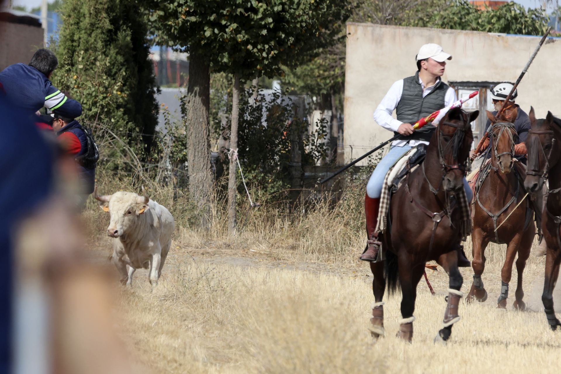 Encierro en Olmedo el sábado por la mañana