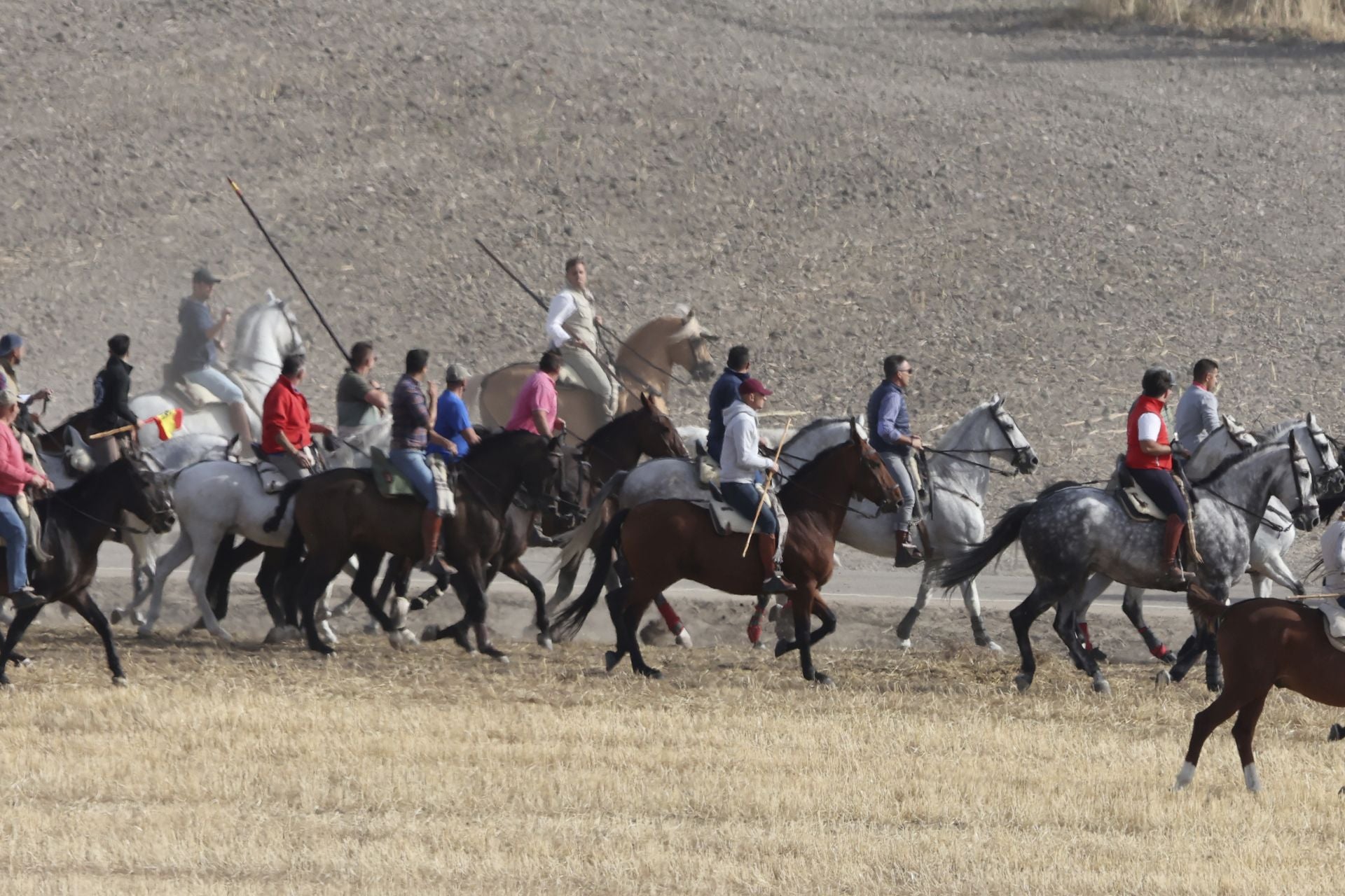 Encierro en Olmedo el sábado por la mañana