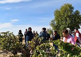 Participantes en el Vendimiario de Mucientes