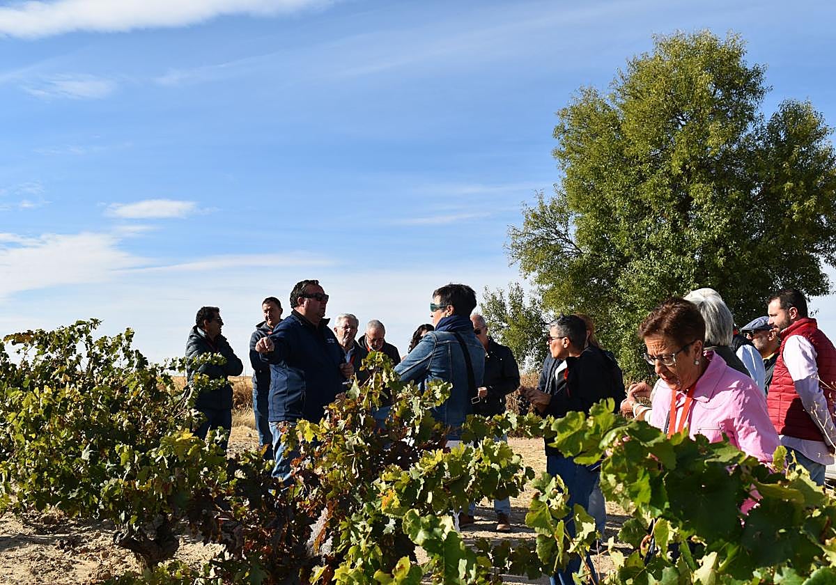 Participantes en el Vendimiario de Mucientes