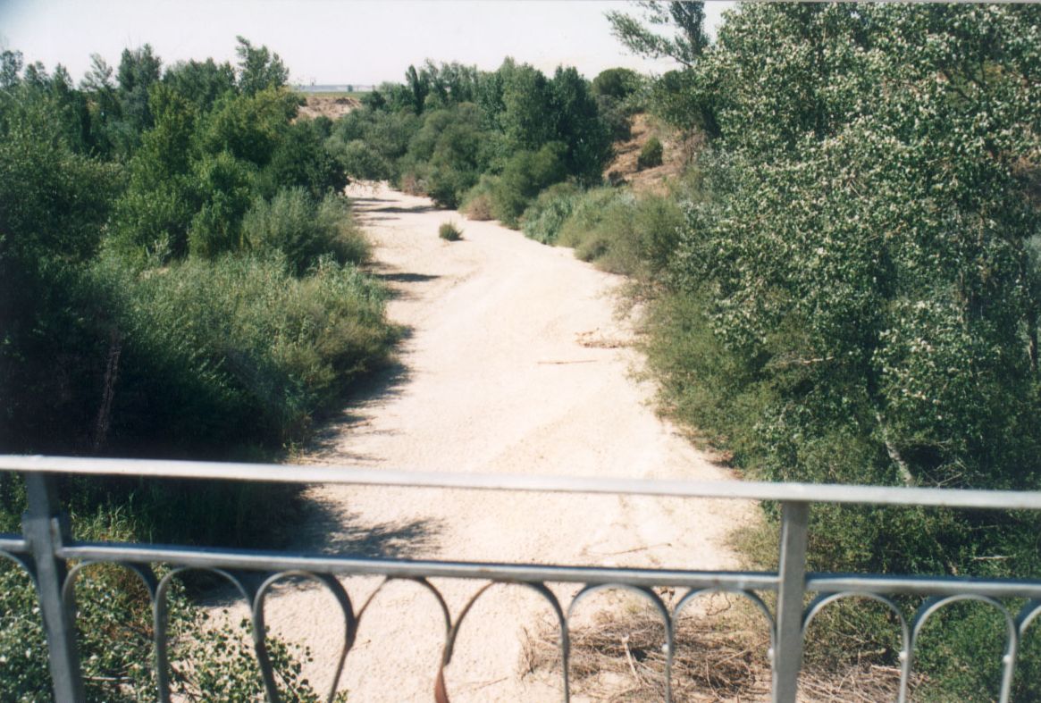 Río Adaja, a su paso por los términos de Matapozuelos y Valdestillas. 