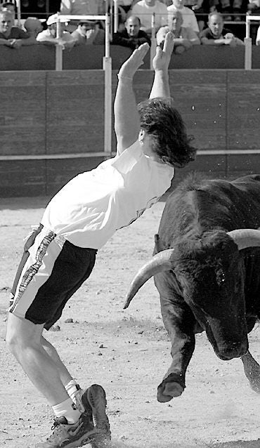 Concurso de cortes. 17 de julio de 2002.