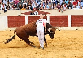 Quiebro de uno de los cortadores en el concurso de Olmedo.