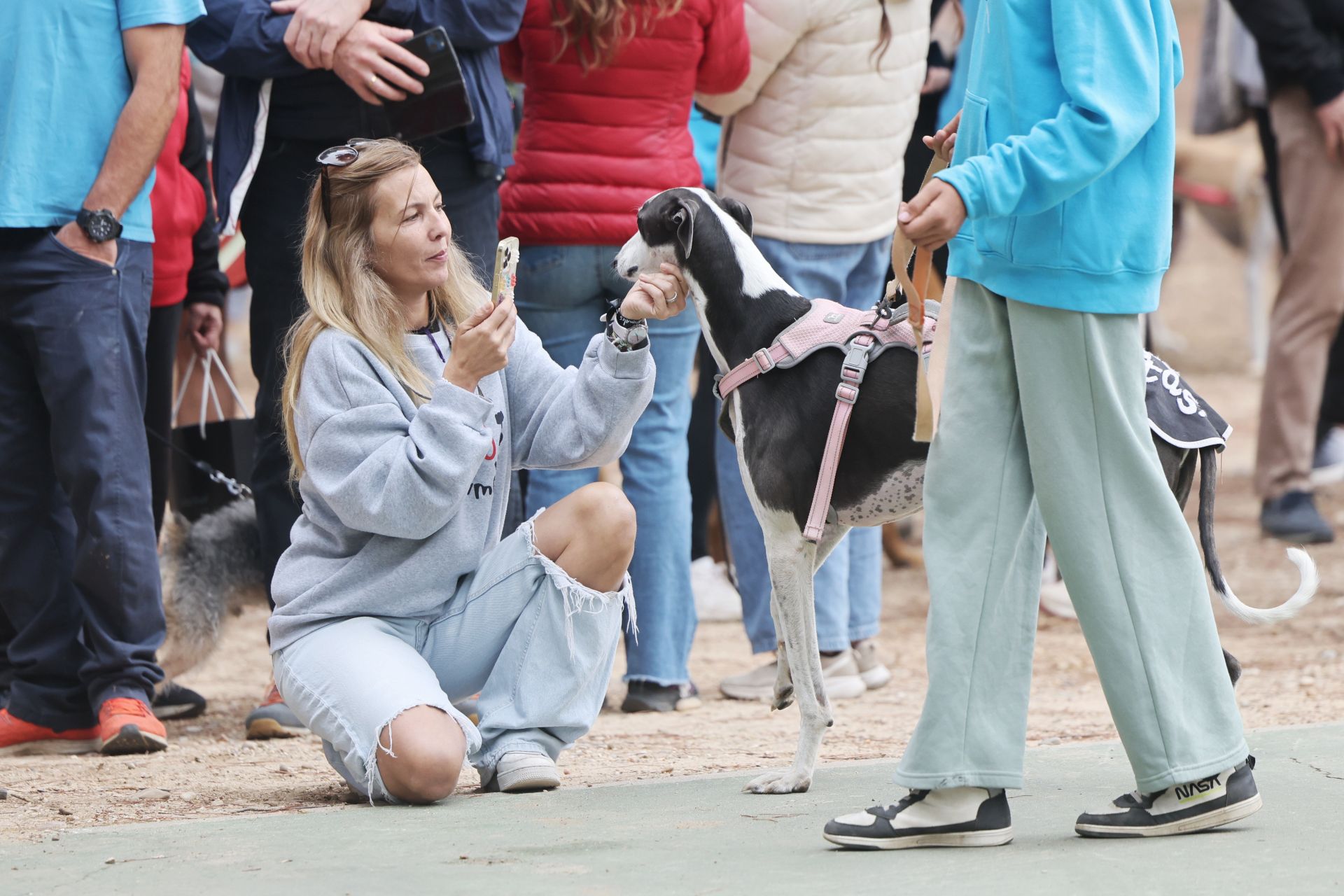 Las protectoras de animales de Valladolid organizan un desfile de perros