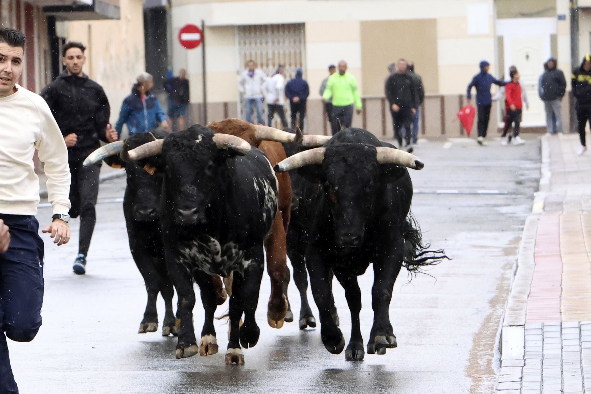 Las imágenes del encierro del domingo en las fiestas de Íscar