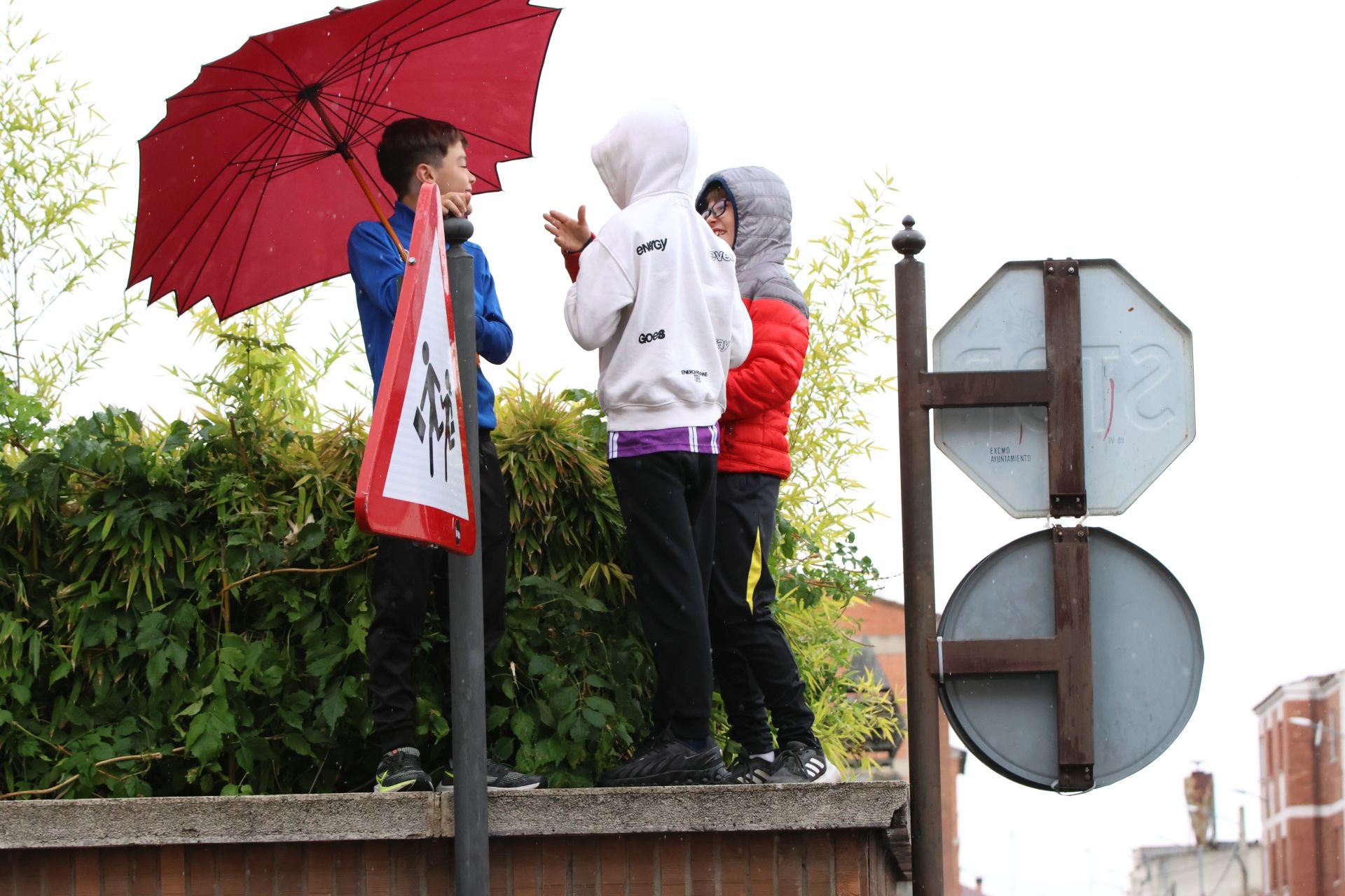 Las imágenes del encierro del domingo en las fiestas de Íscar