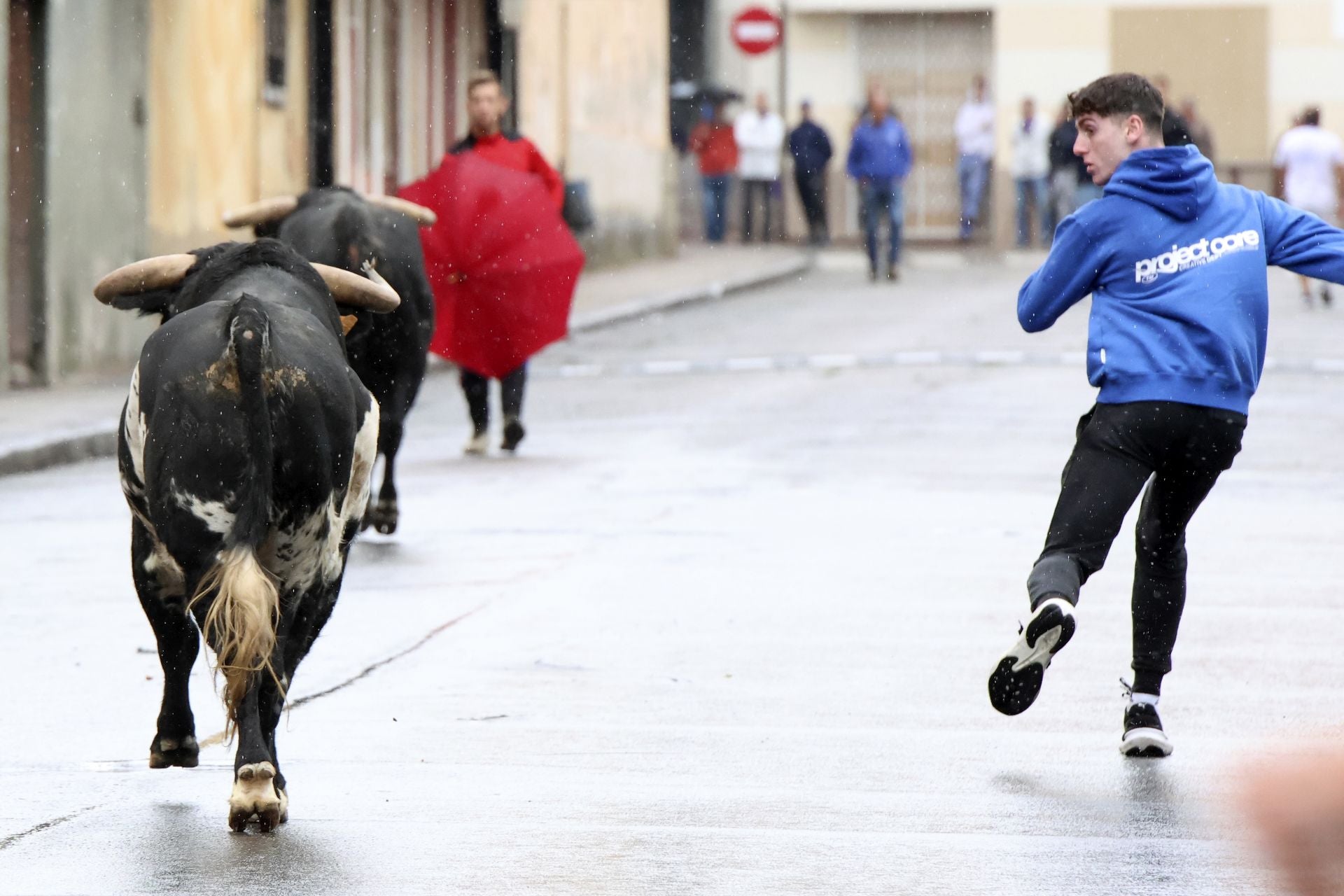 Las imágenes del encierro del domingo en las fiestas de Íscar