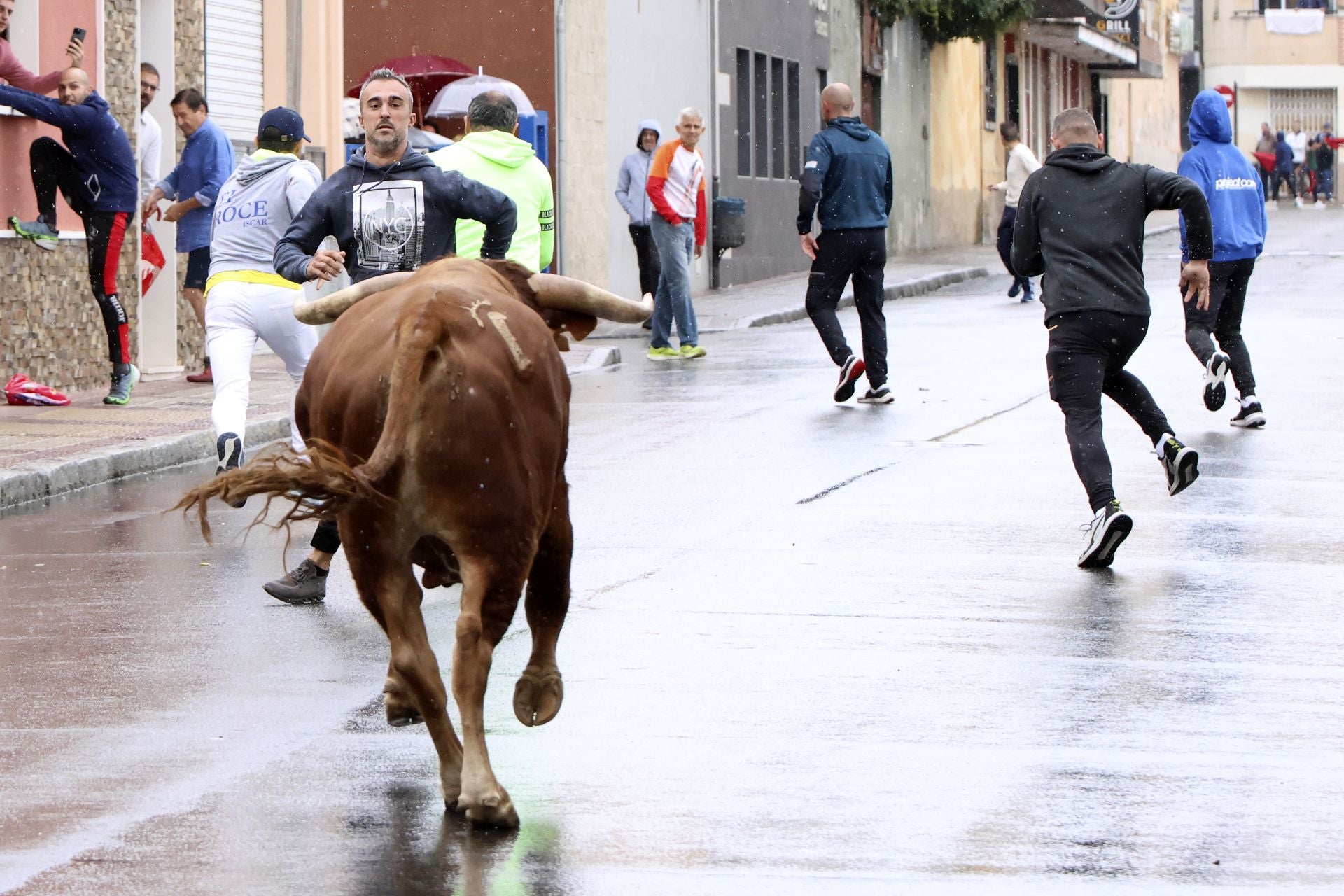 Las imágenes del encierro del domingo en las fiestas de Íscar