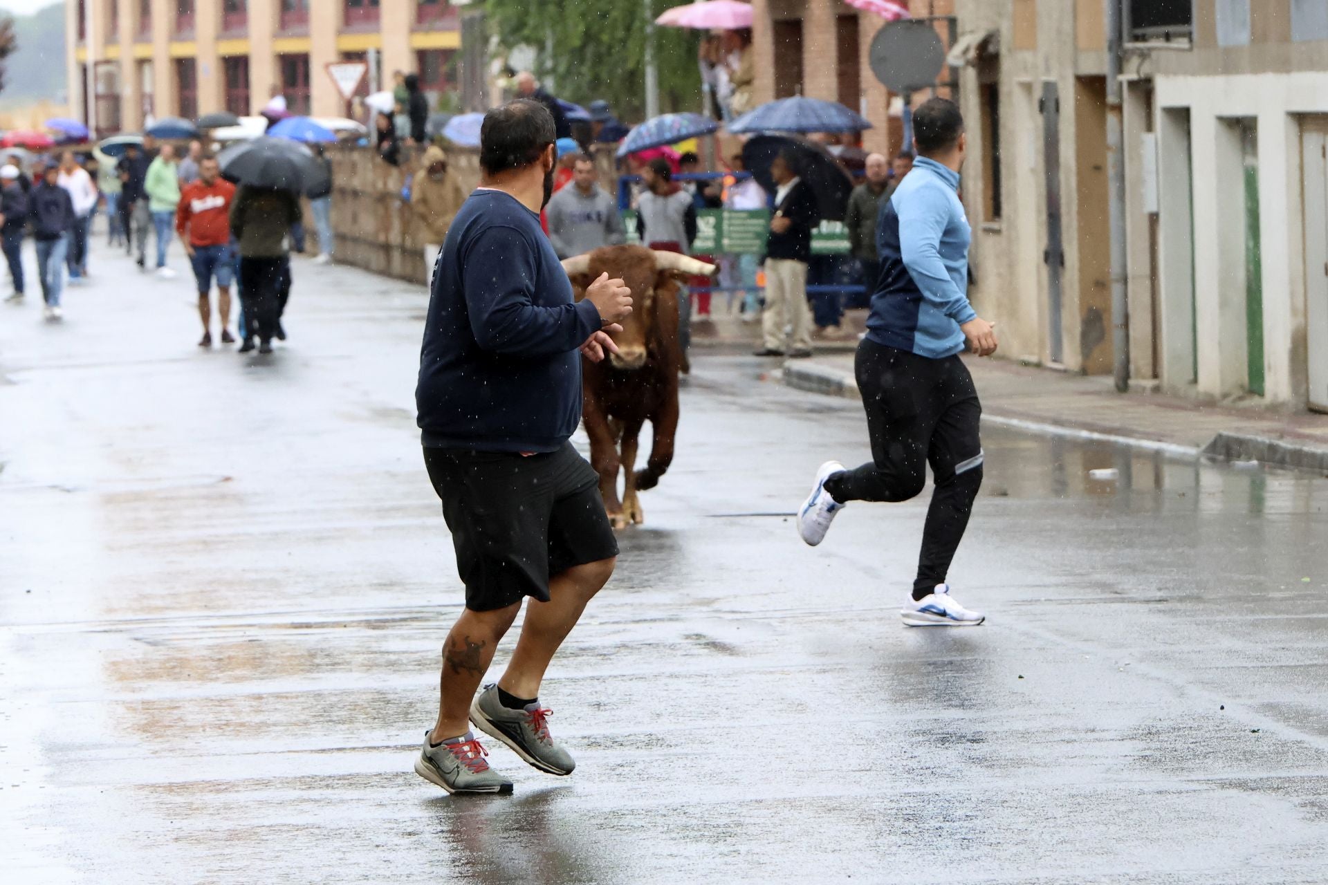 Las imágenes del encierro del domingo en las fiestas de Íscar